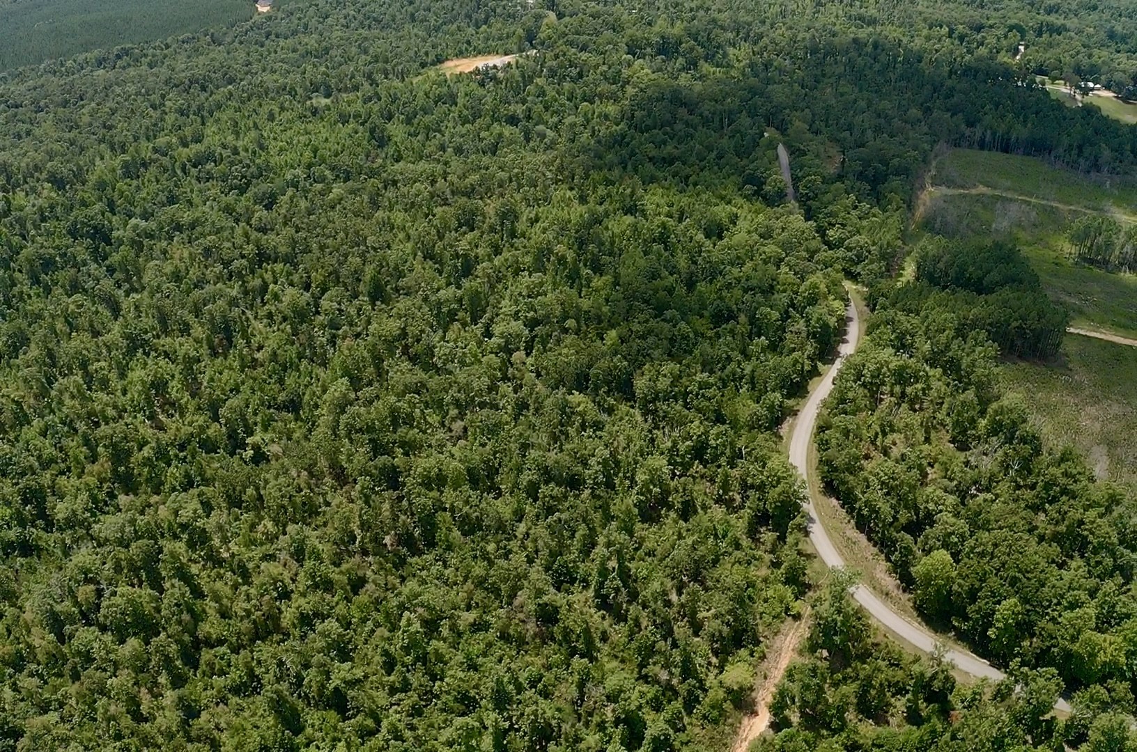 0 Mouse Tail Road Parsons, TN 38363 - Photo 3 of 21