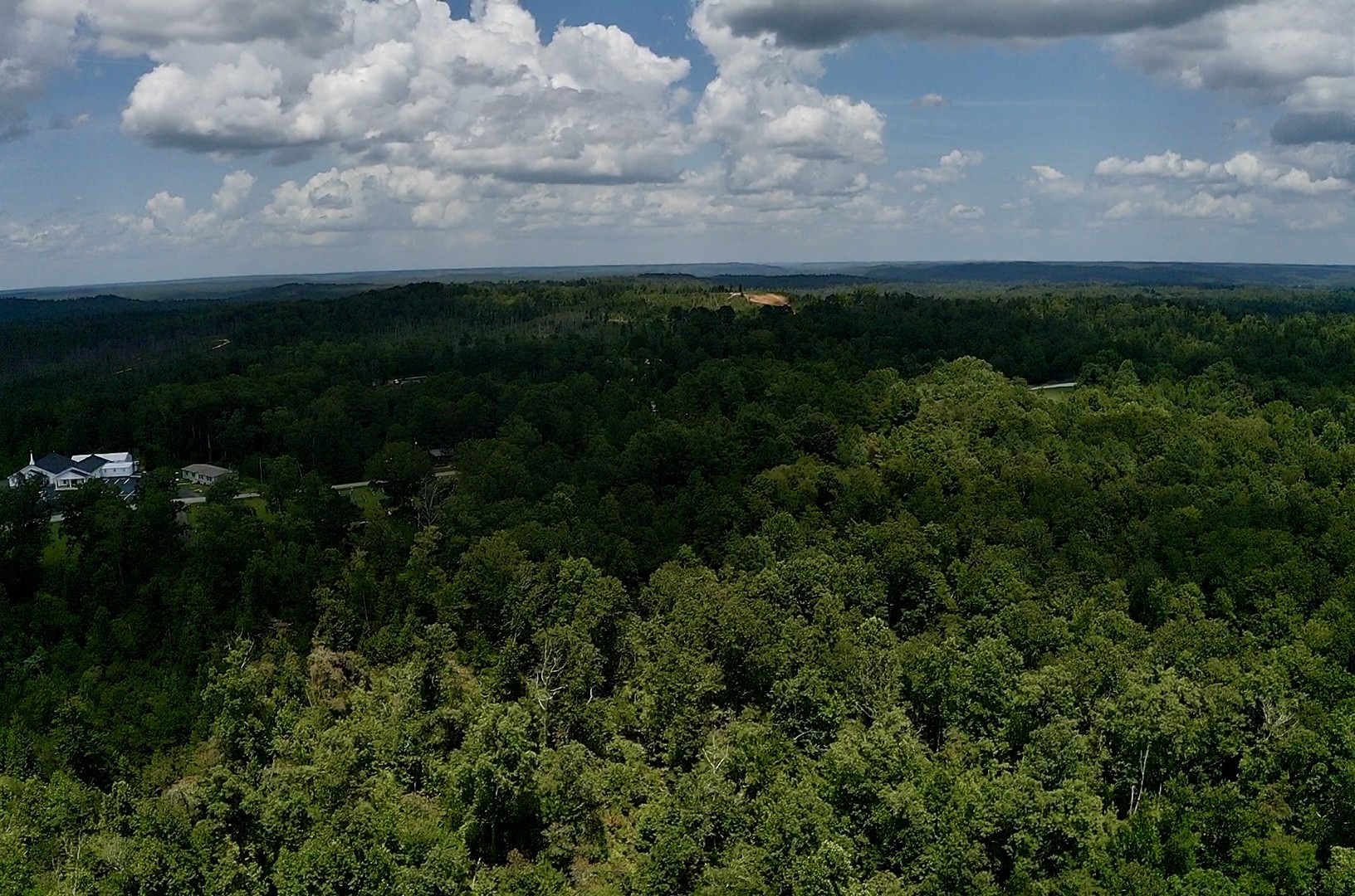 0 Mouse Tail Road Parsons, TN 38363 - Photo 4 of 21