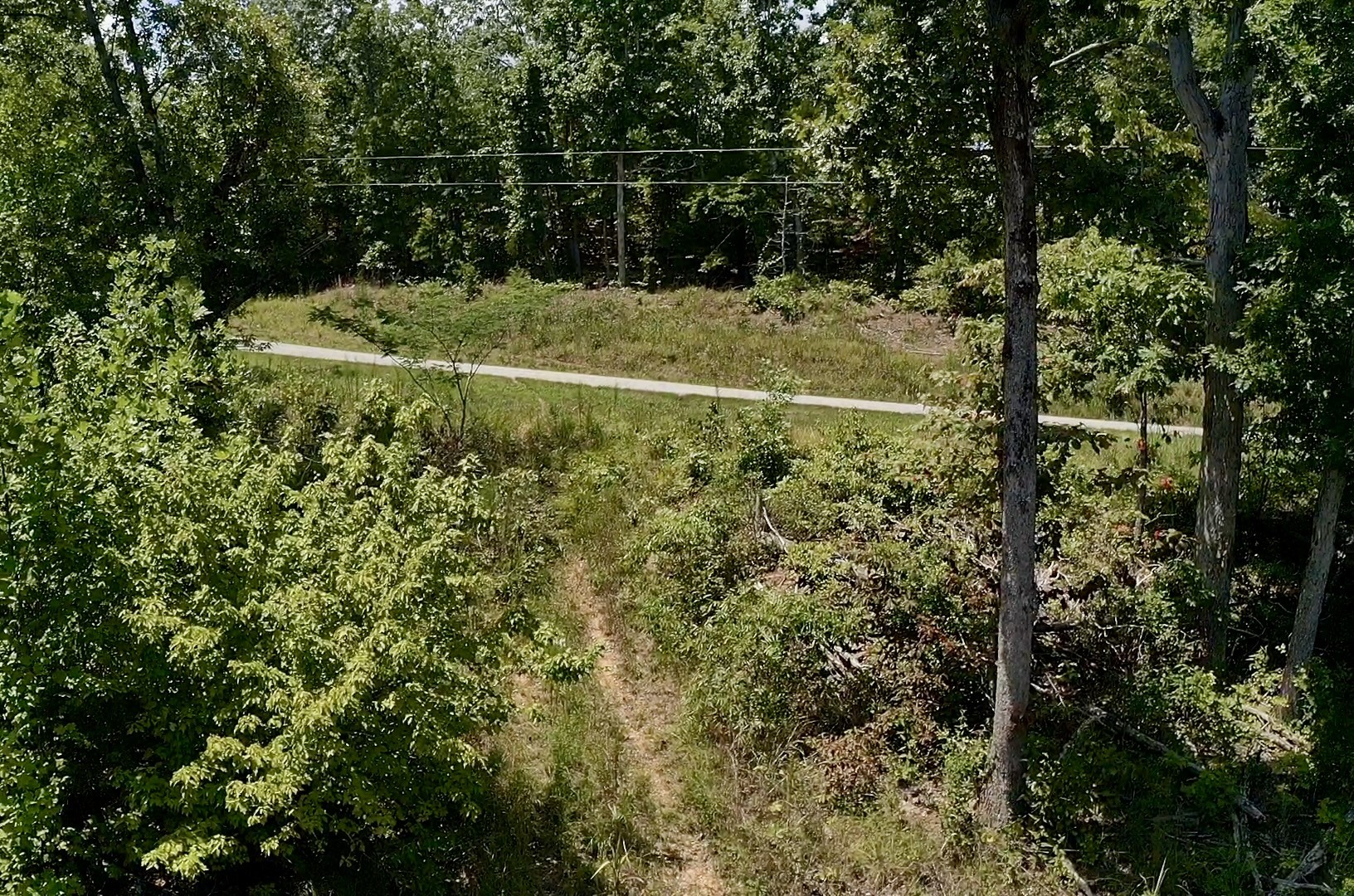 0 Mouse Tail Road Parsons, TN 38363 - Photo 5 of 21