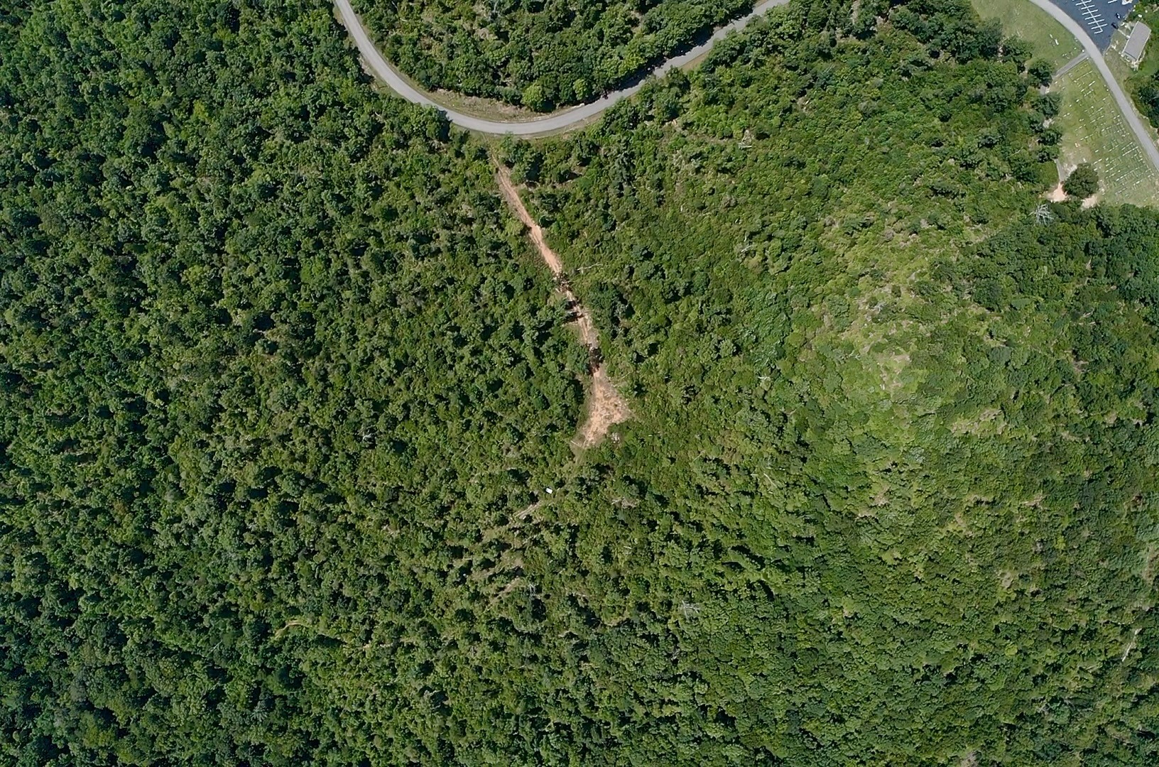 0 Mouse Tail Road Parsons, TN 38363 - Photo 6 of 21