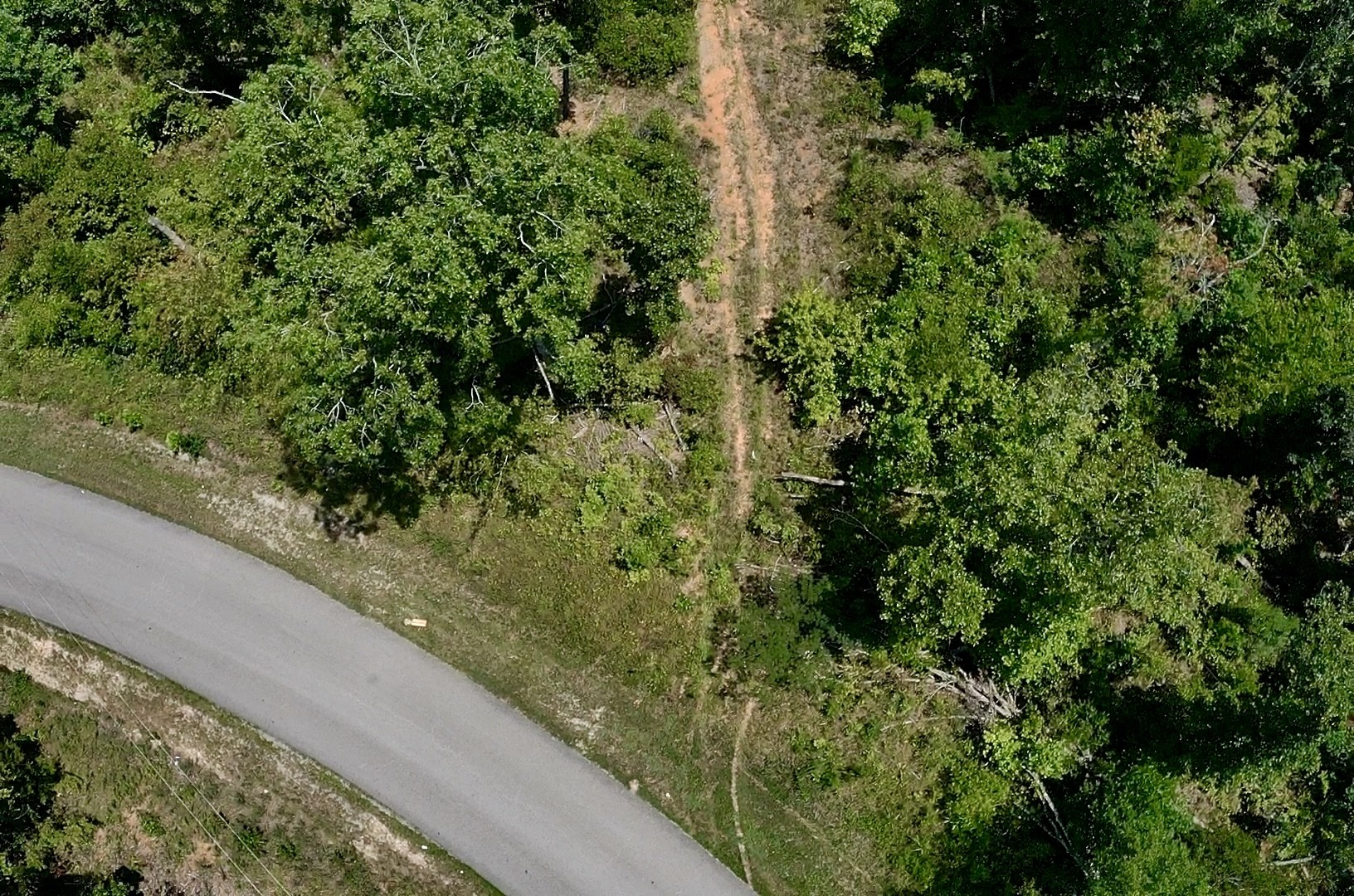 0 Mouse Tail Road Parsons, TN 38363 - Photo 9 of 21