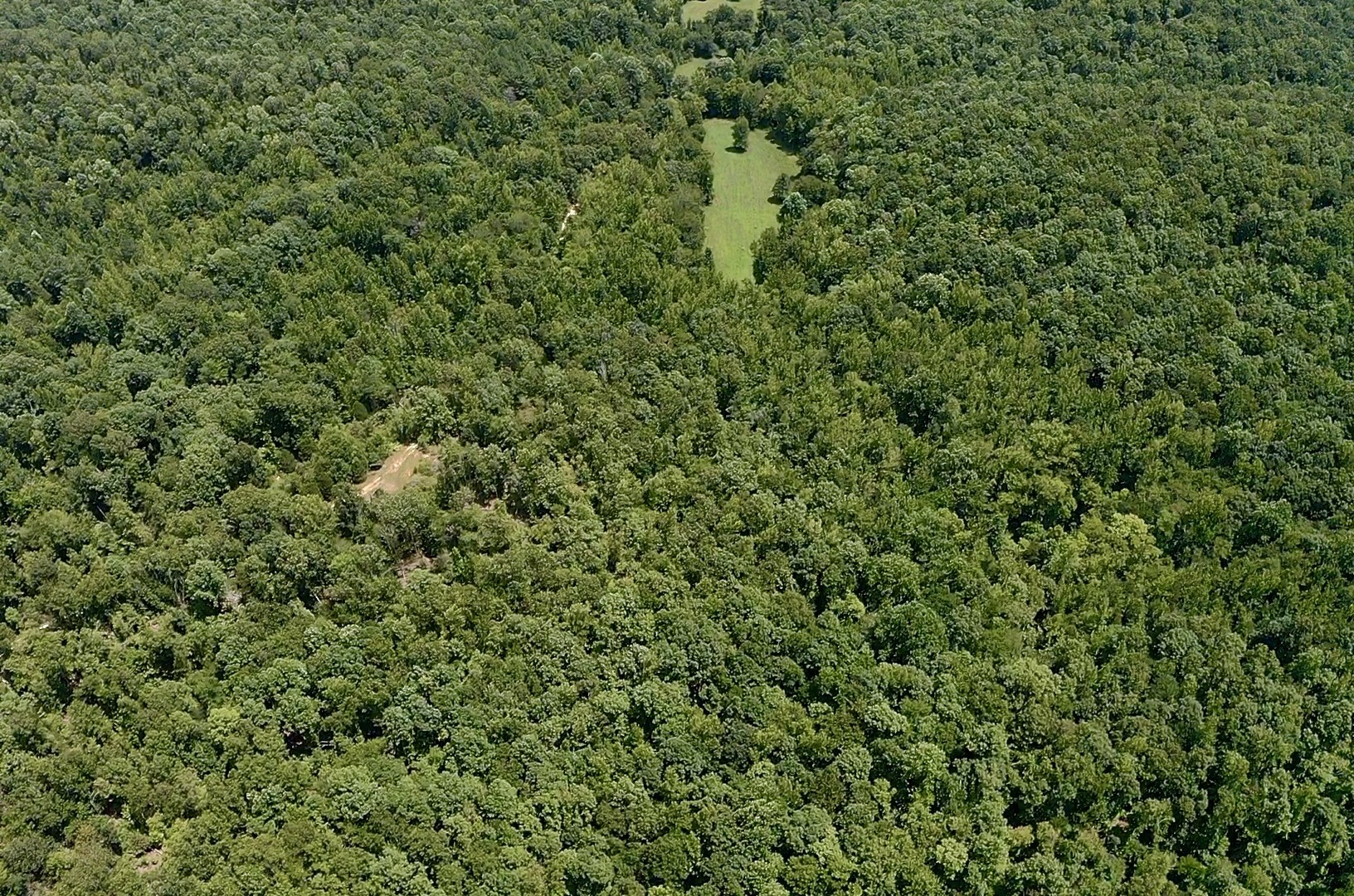 0 Mouse Tail Road Parsons, TN 38363 - Photo 10 of 21
