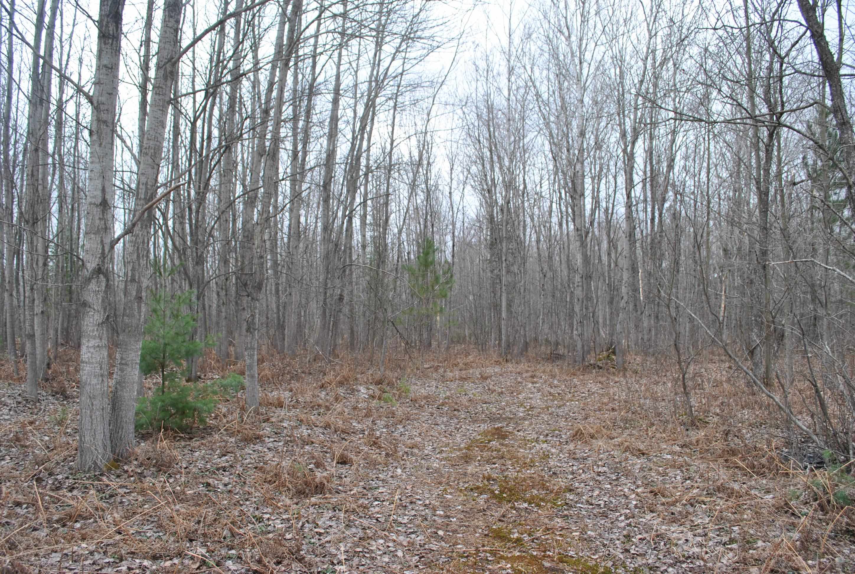 7301 North 31 Road Manton, MI 49663 - Photo 20 of 26 1898558-19.JPG