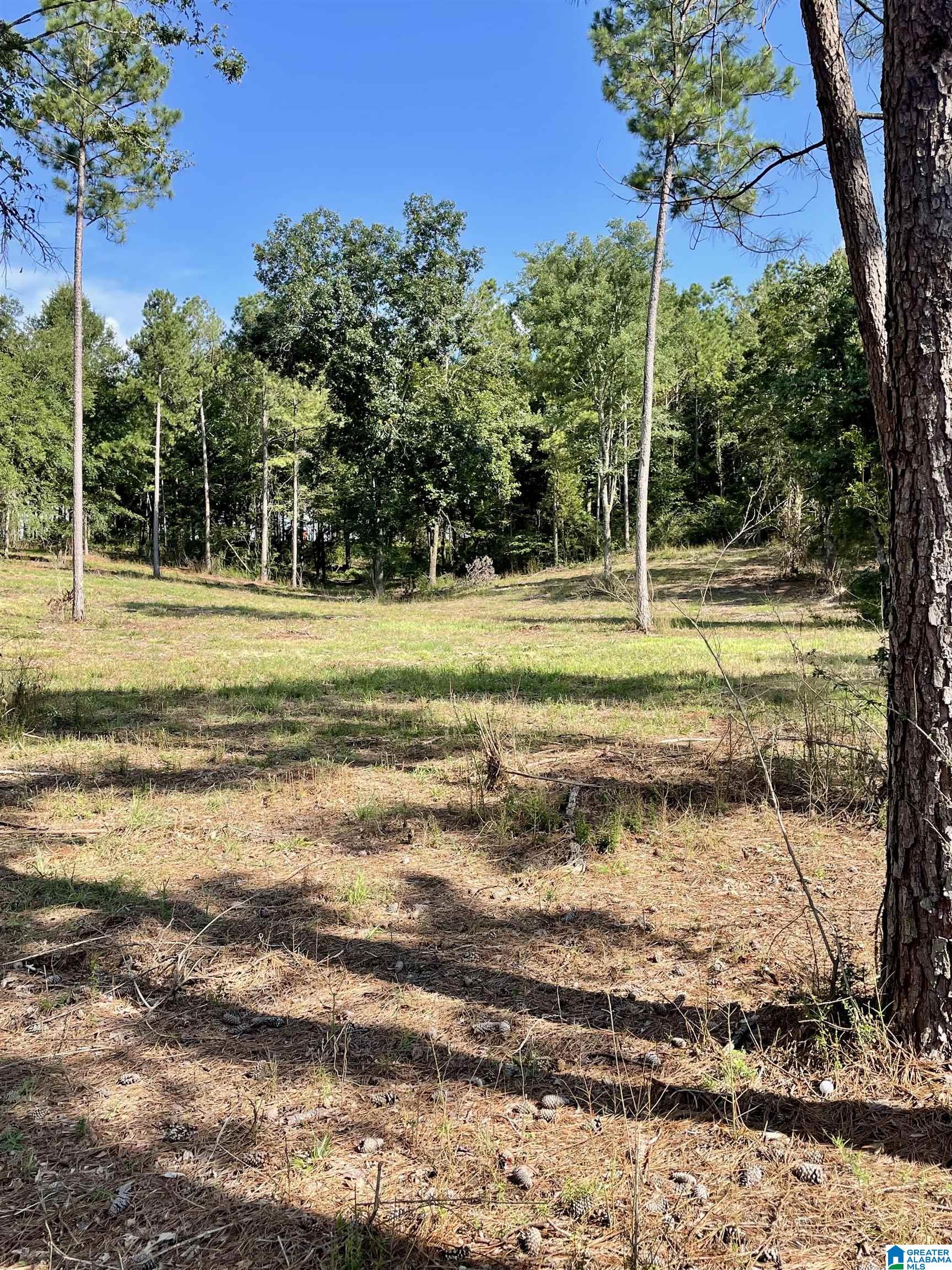 0 Ironaton Road, Unit 1 Talladega, AL 35160 - Photo 5 of 10