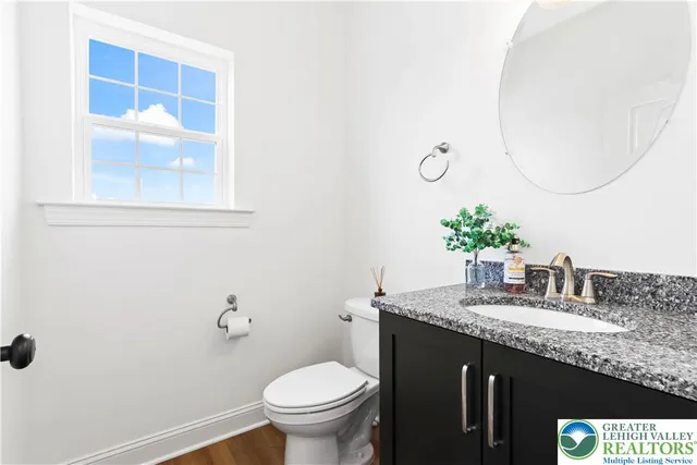 a kitchen with a granite countertop sink a potted plant and wooden cabinets
