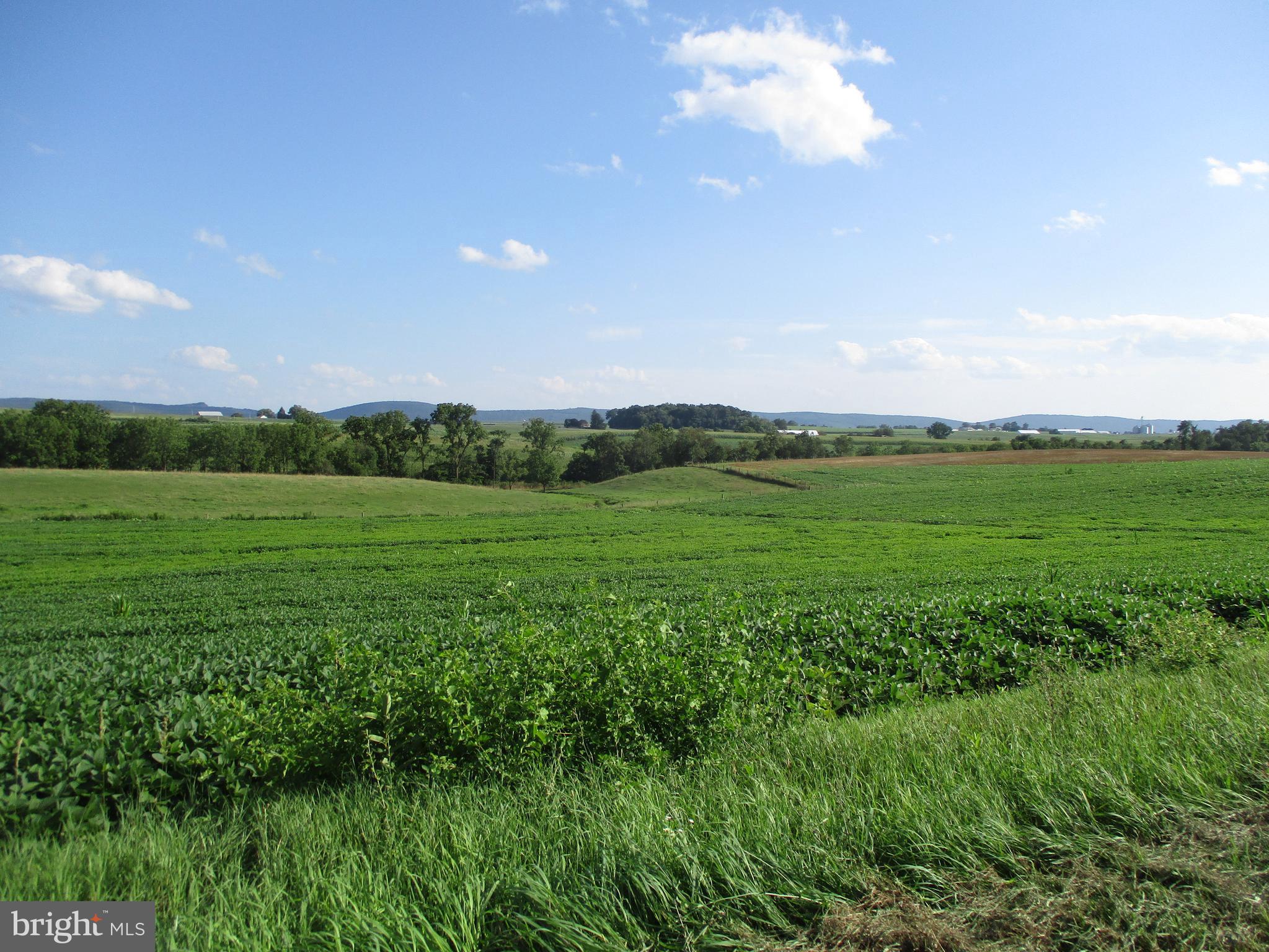 274 Smith Road Elizabethville, PA 17023 - Photo 41 of 58 Gallery Image 41