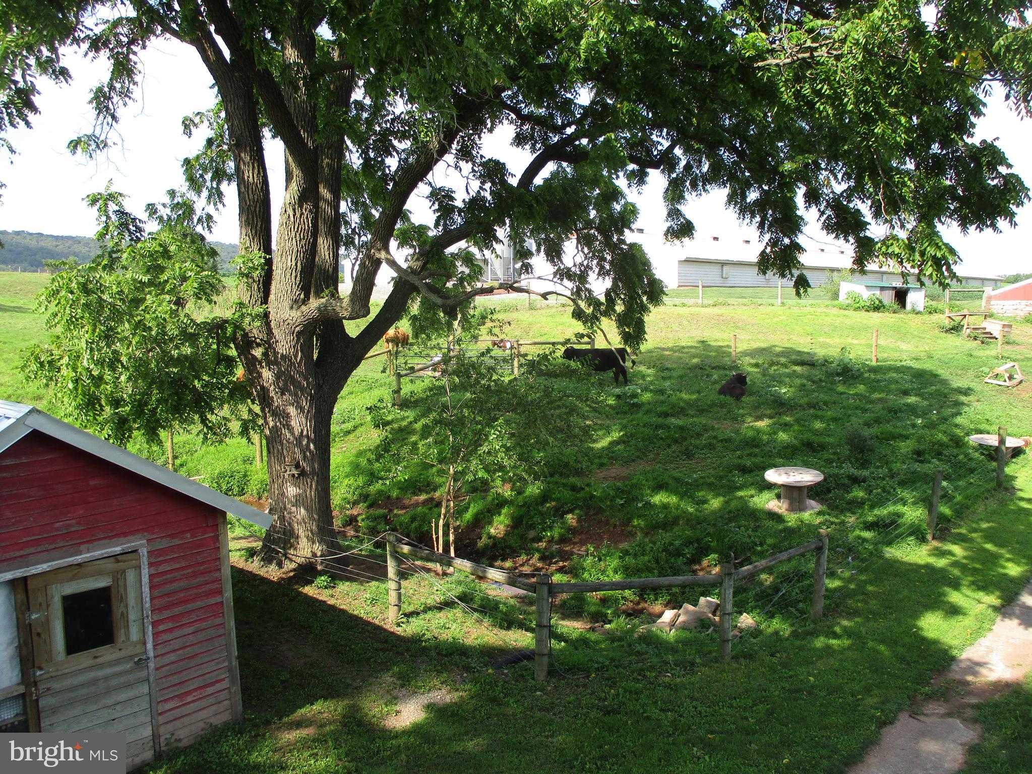 274 Smith Road Elizabethville, PA 17023 - Photo 7 of 58 Gallery Image 7