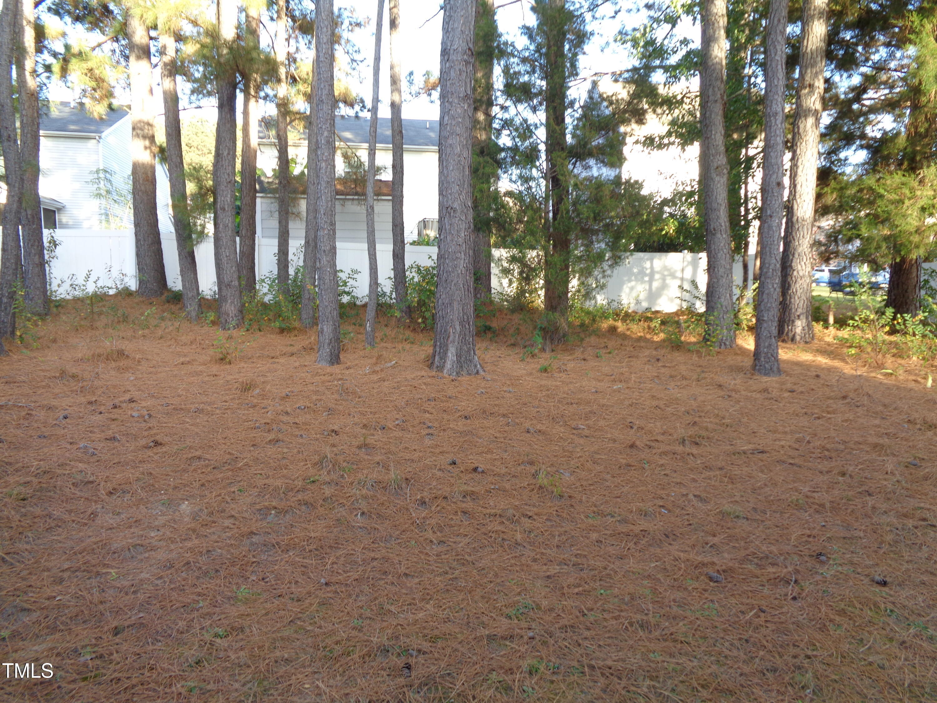 308 Switchback Street Knightdale, NC 27545 - Photo 16 of 17 a backyard of a house with lots of green space