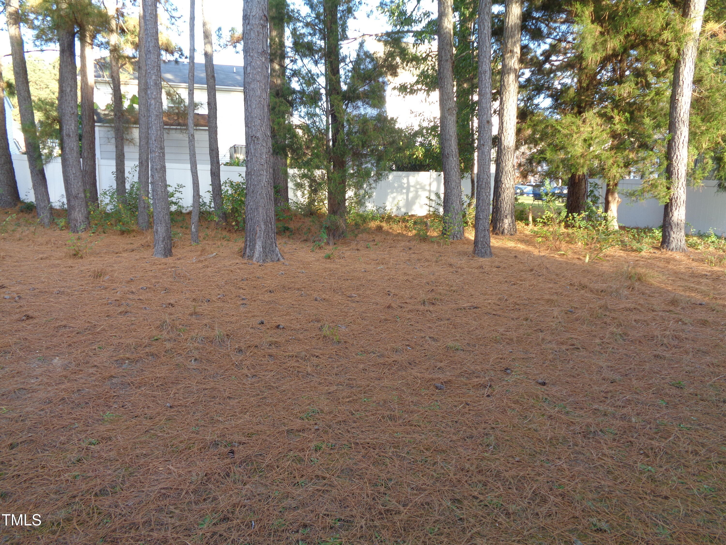 308 Switchback Street Knightdale, NC 27545 - Photo 17 of 17 a view of road with trees