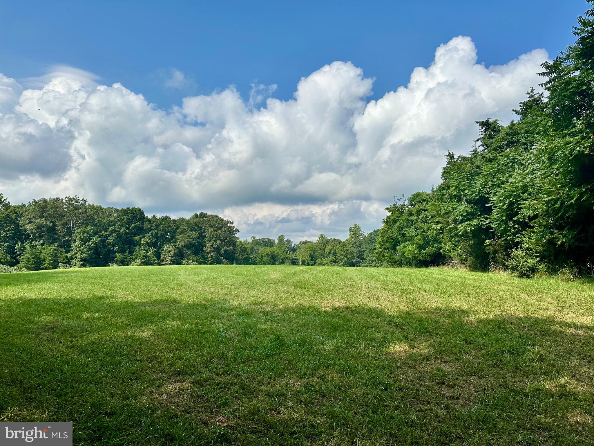 a view of grassy field and trees