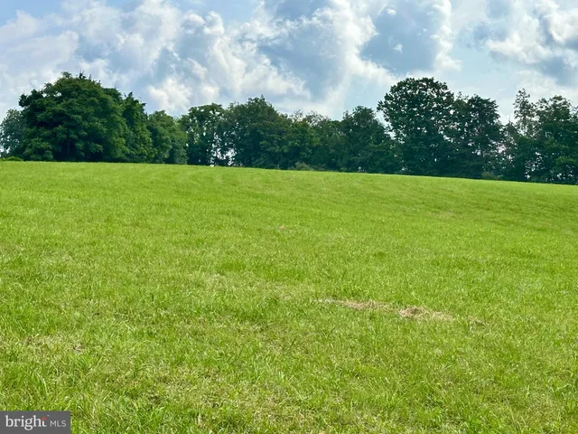a view of a big yard with lots of green space