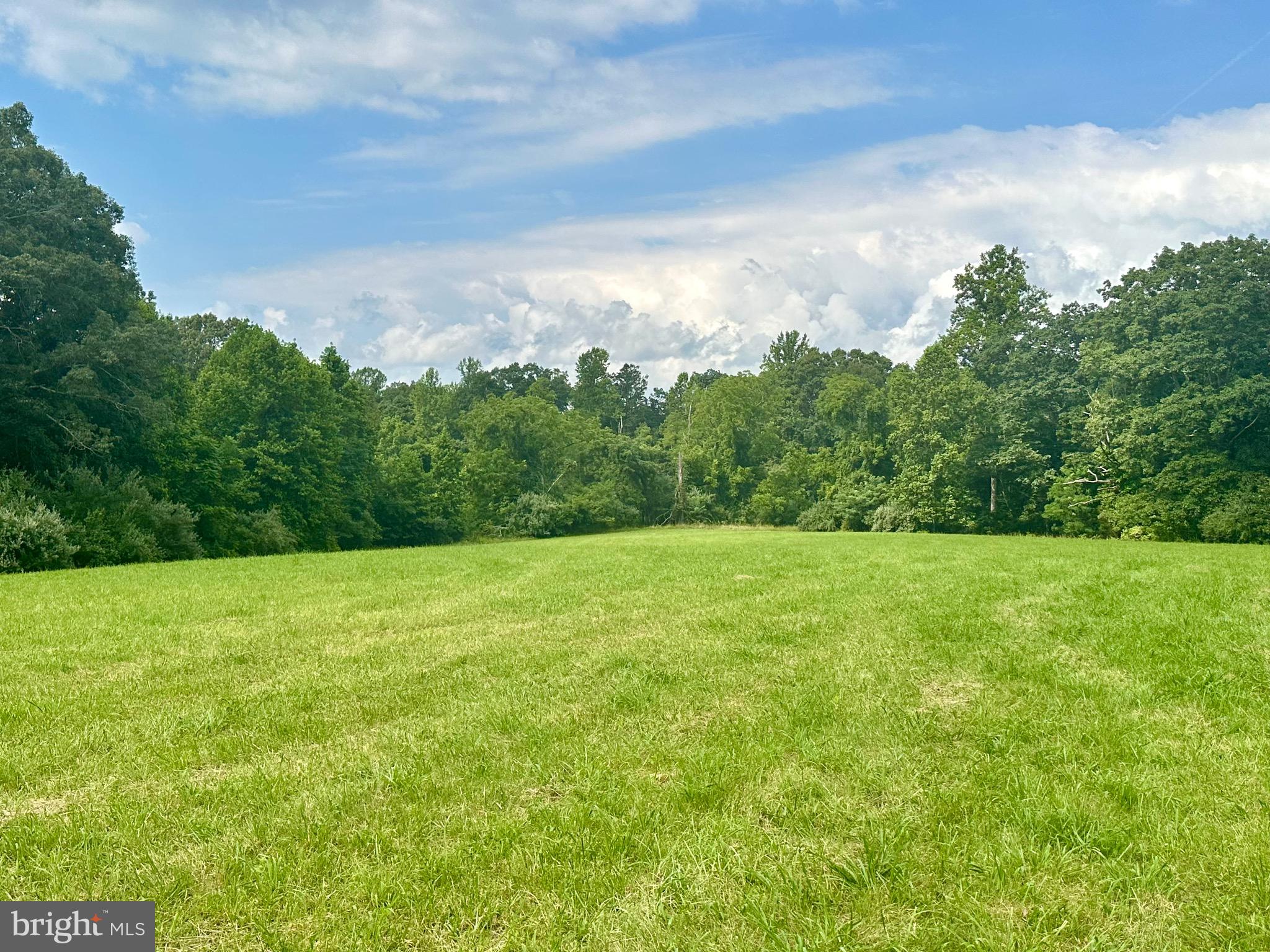 6-22a Black Hill Road Rixeyville, VA 22737 - Photo 14 of 18 a view of a big yard with lots of green space