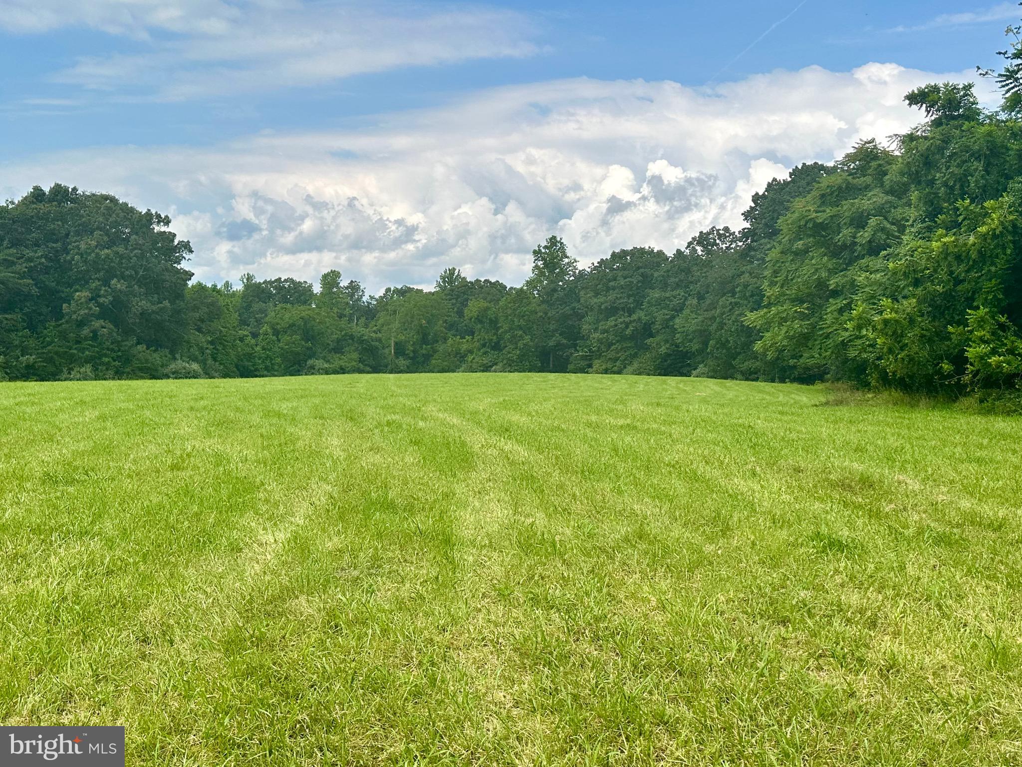 6-22a Black Hill Road Rixeyville, VA 22737 - Photo 15 of 18 a view of a field with an outdoor space