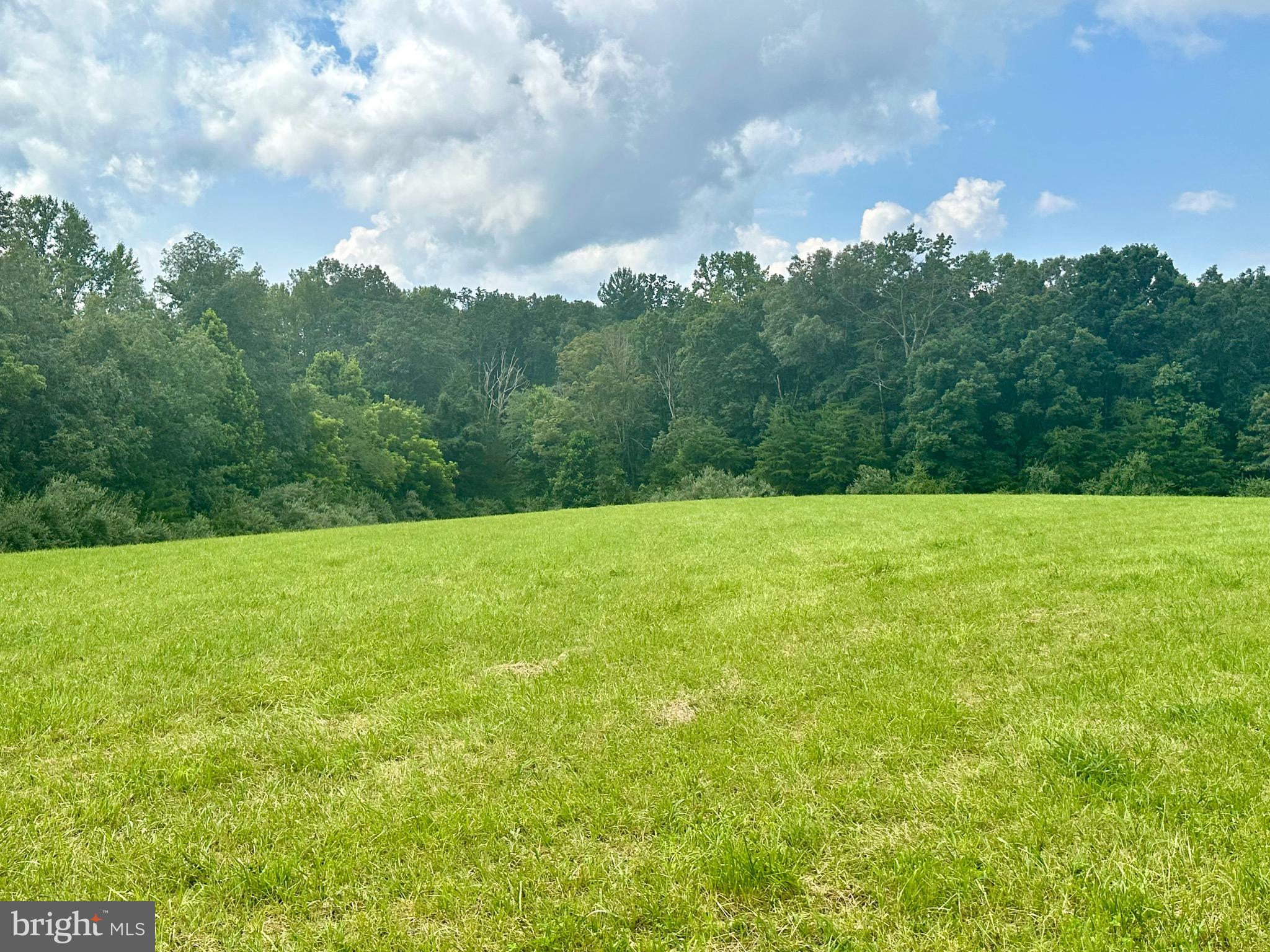 6-22a Black Hill Road Rixeyville, VA 22737 - Photo 16 of 18 a backyard of a house with lots of green space