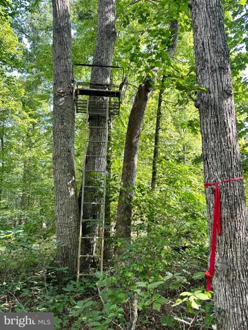 a view of a lake from a yard