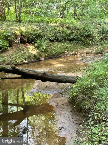 a view of a small yard