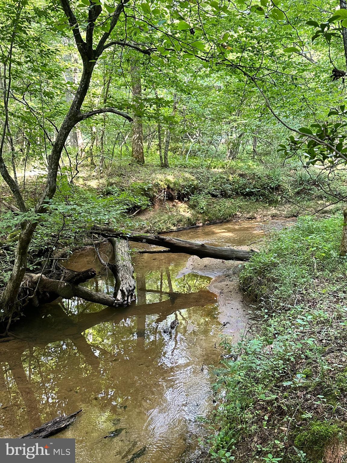 6-22a Black Hill Road Rixeyville, VA 22737 - Photo 7 of 18 a view of a small yard