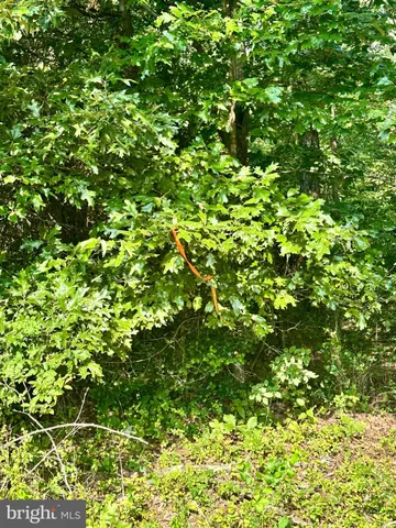 a backyard of a house with lots of plants