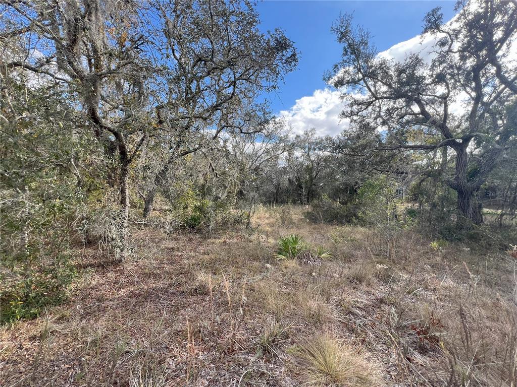 Donney Moor Ln Spring Hill Spring Hill, FL 34610 - Photo 1 of 1