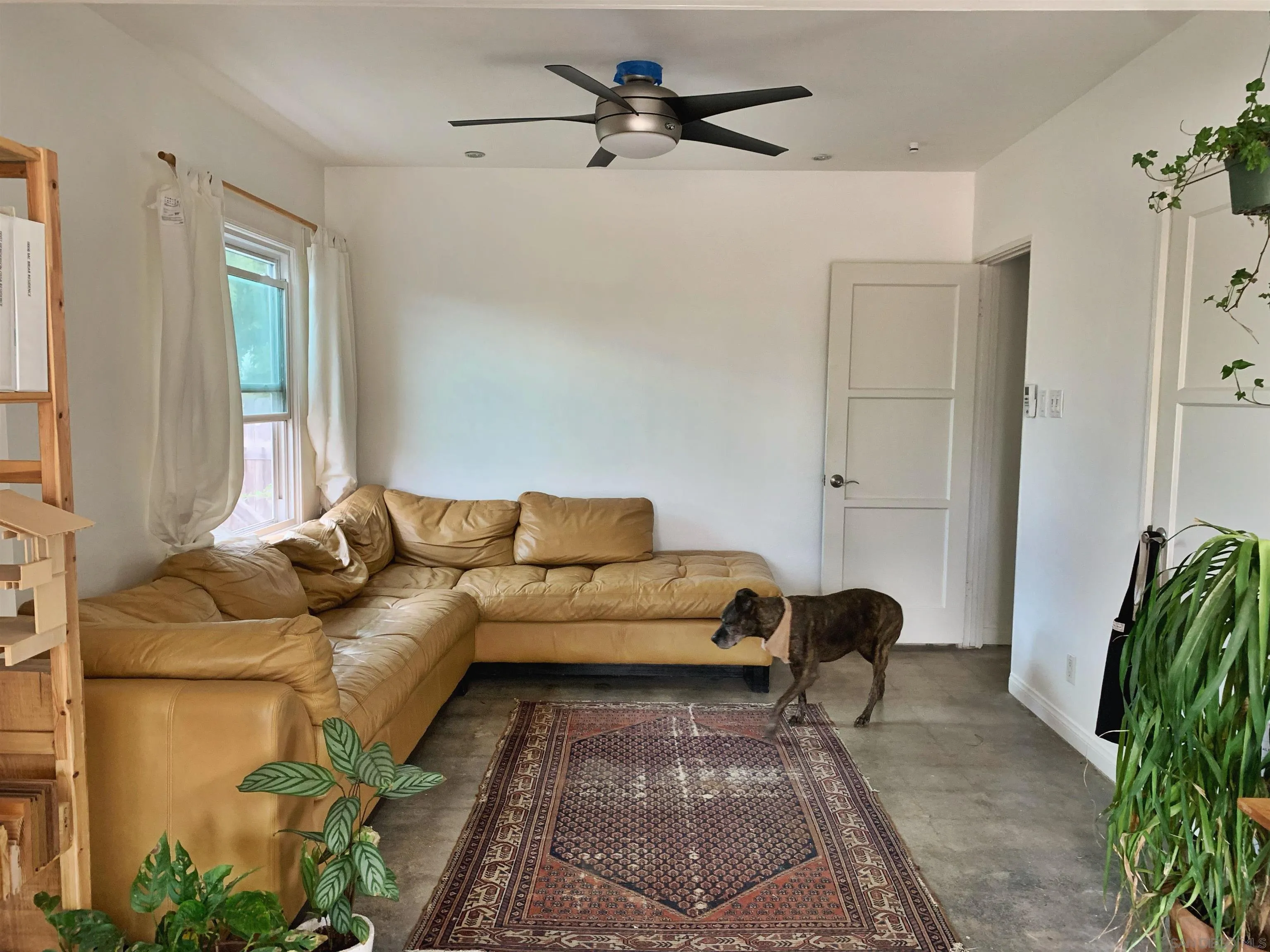 641 West Elder Street Fallbrook, CA 92028 - Photo 13 of 25 Gallery Image 13