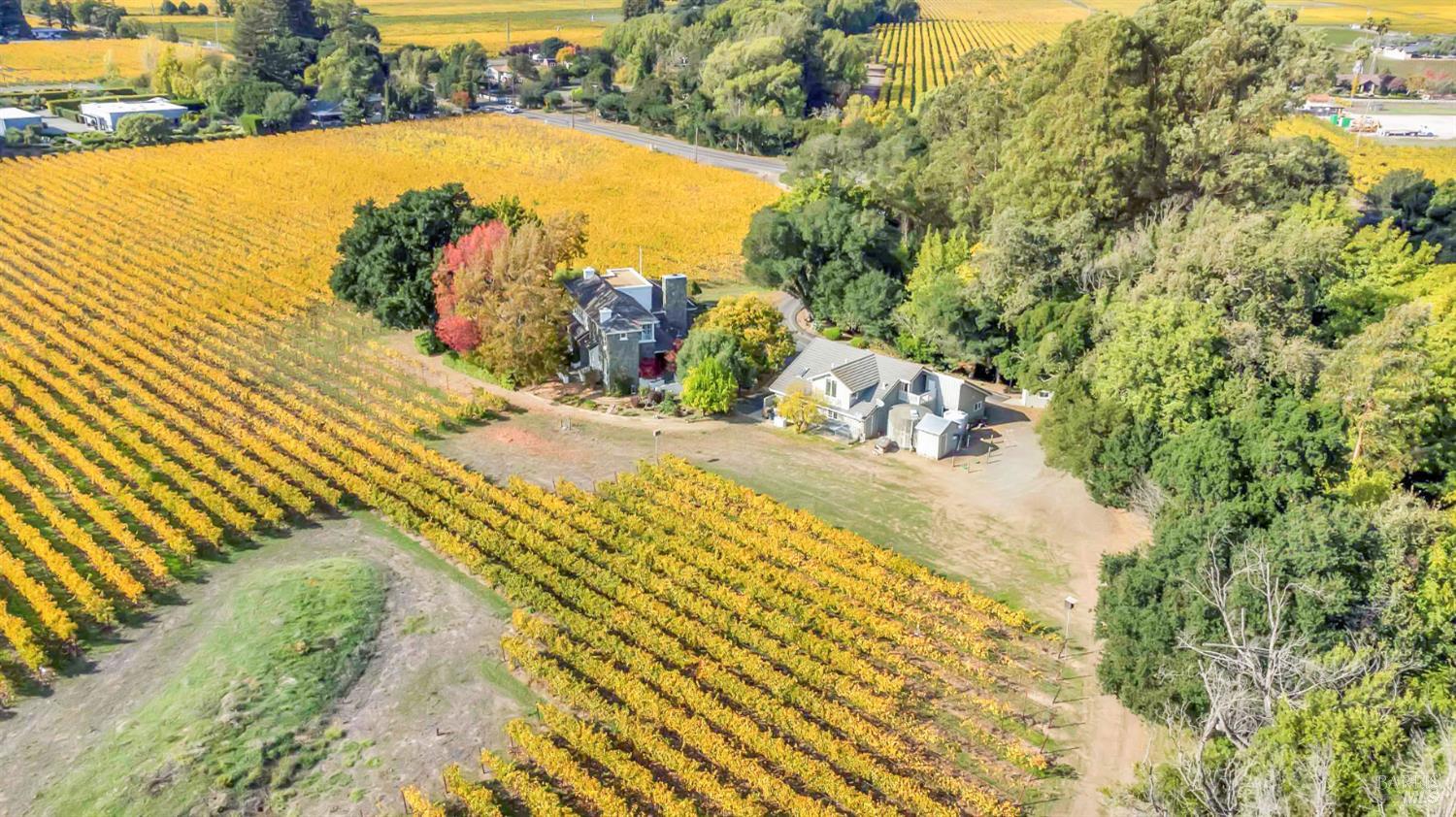 1041 Las Amigas Road Napa, CA 94559 - Photo 38 of 46 a view of a swimming pool and an outdoor space