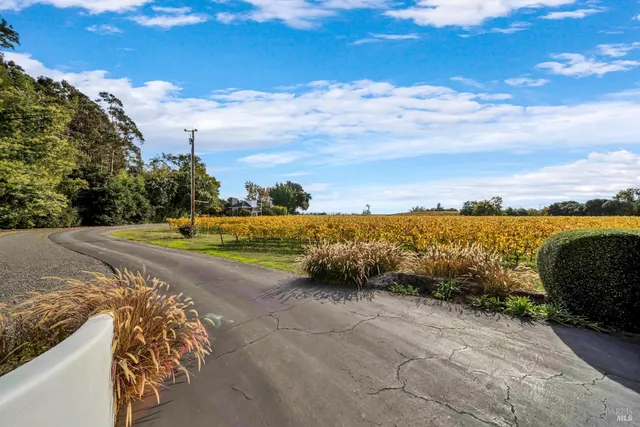 a view of a yard with an ocean view