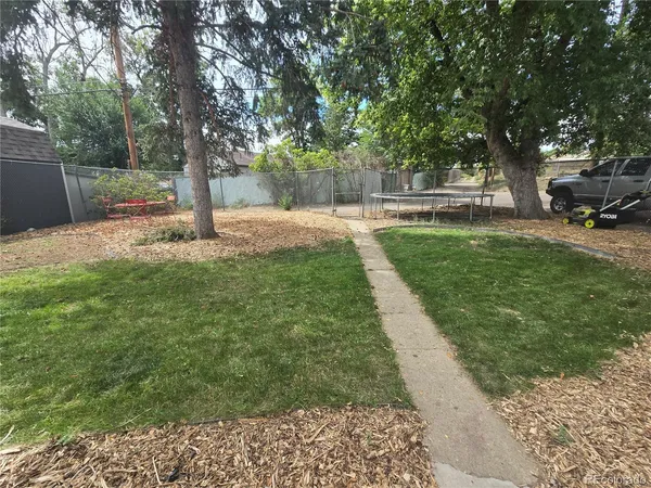 a view of a yard with a tree