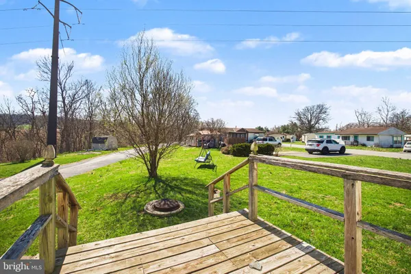 a view of a park with large trees
