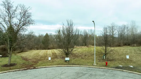 a view of a dry yard with wooden fence