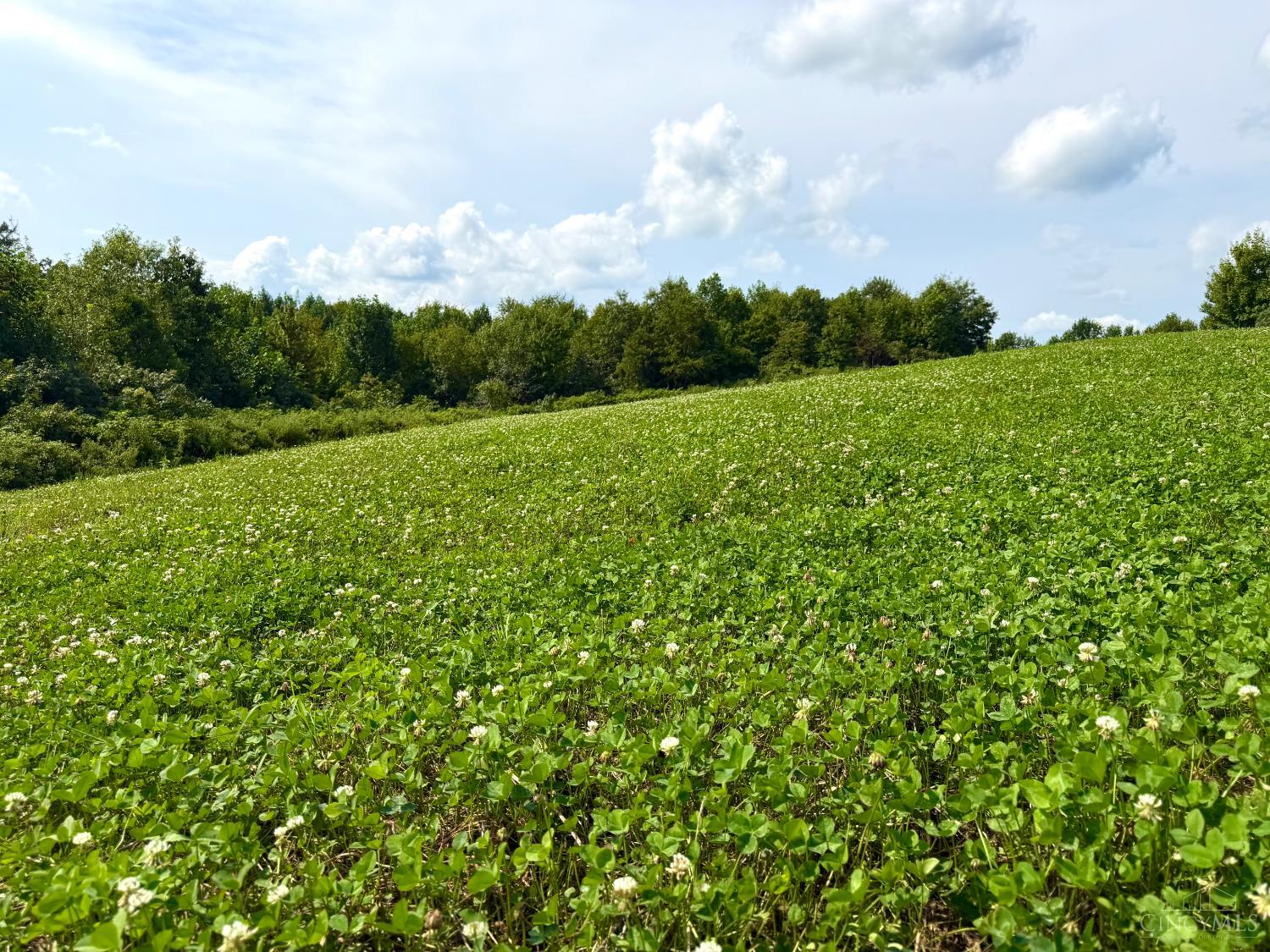 0 Lick Run-Lyra Road South Webster, OH 45682 - Photo 51 of 99 Gallery Image 51