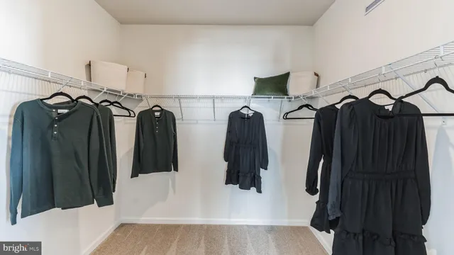 a view of walk in closet with clothes and shoes