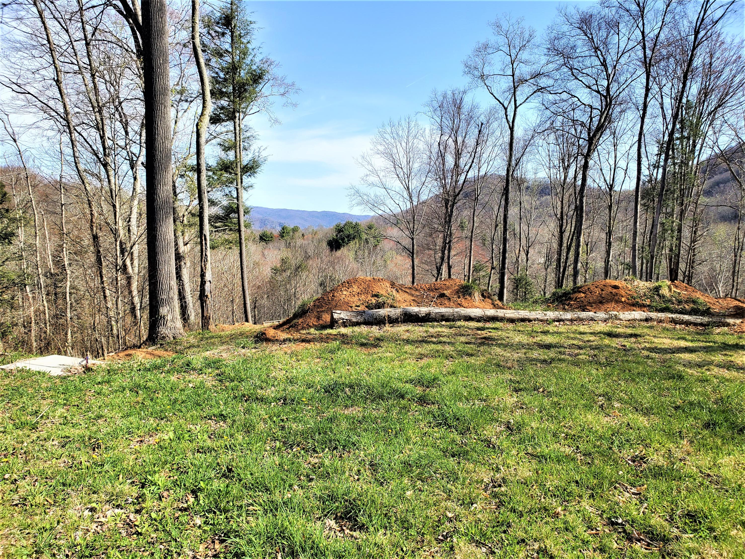 414 Eagle Ridge Road, Unit 23 Roan Mountain, TN 37687 - Photo 1 of 31 20210413_102348