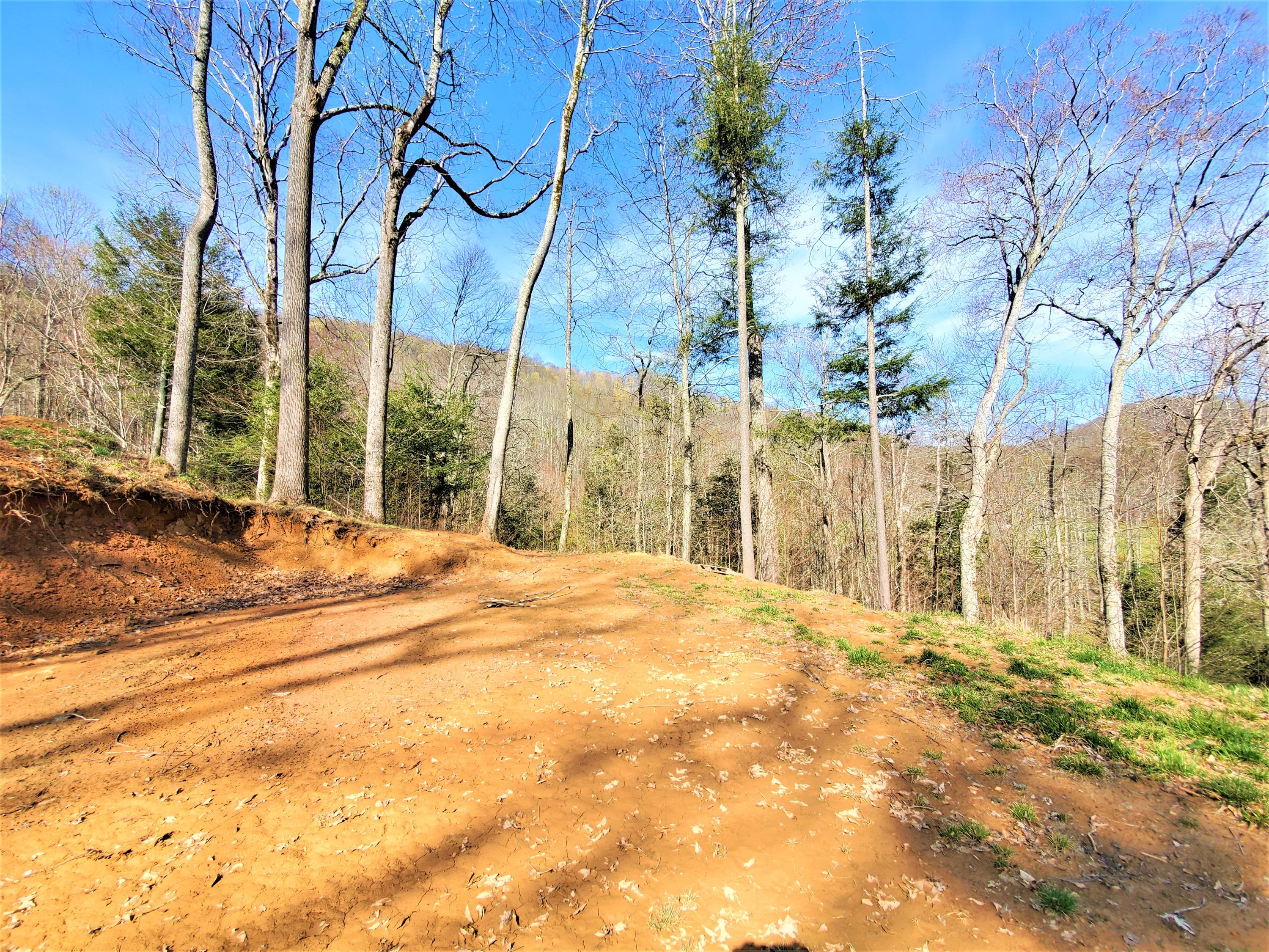 414 Eagle Ridge Road, Unit 23 Roan Mountain, TN 37687 - Photo 11 of 31 20210413_102151