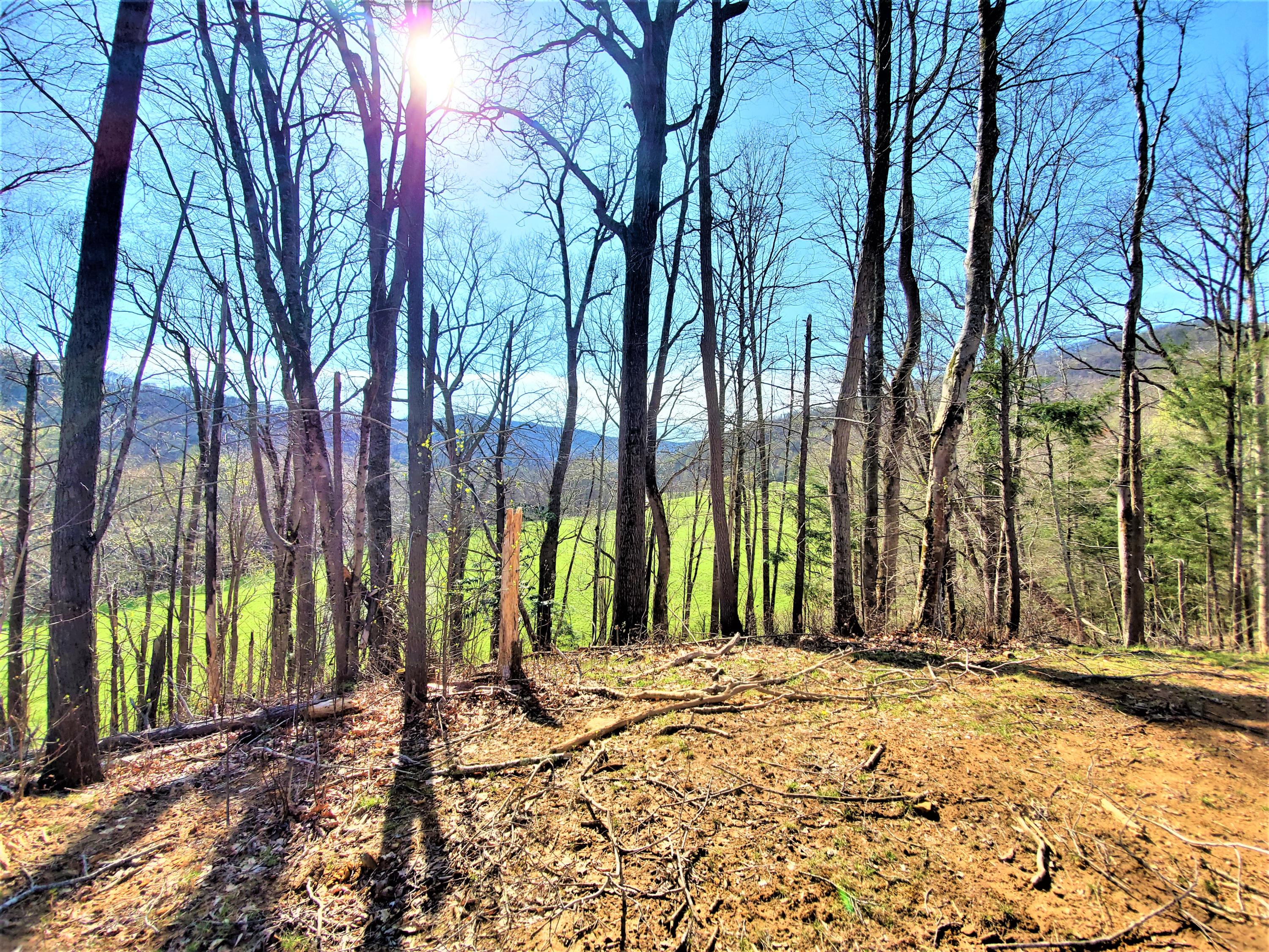 414 Eagle Ridge Road, Unit 23 Roan Mountain, TN 37687 - Photo 12 of 31 20210413_102215