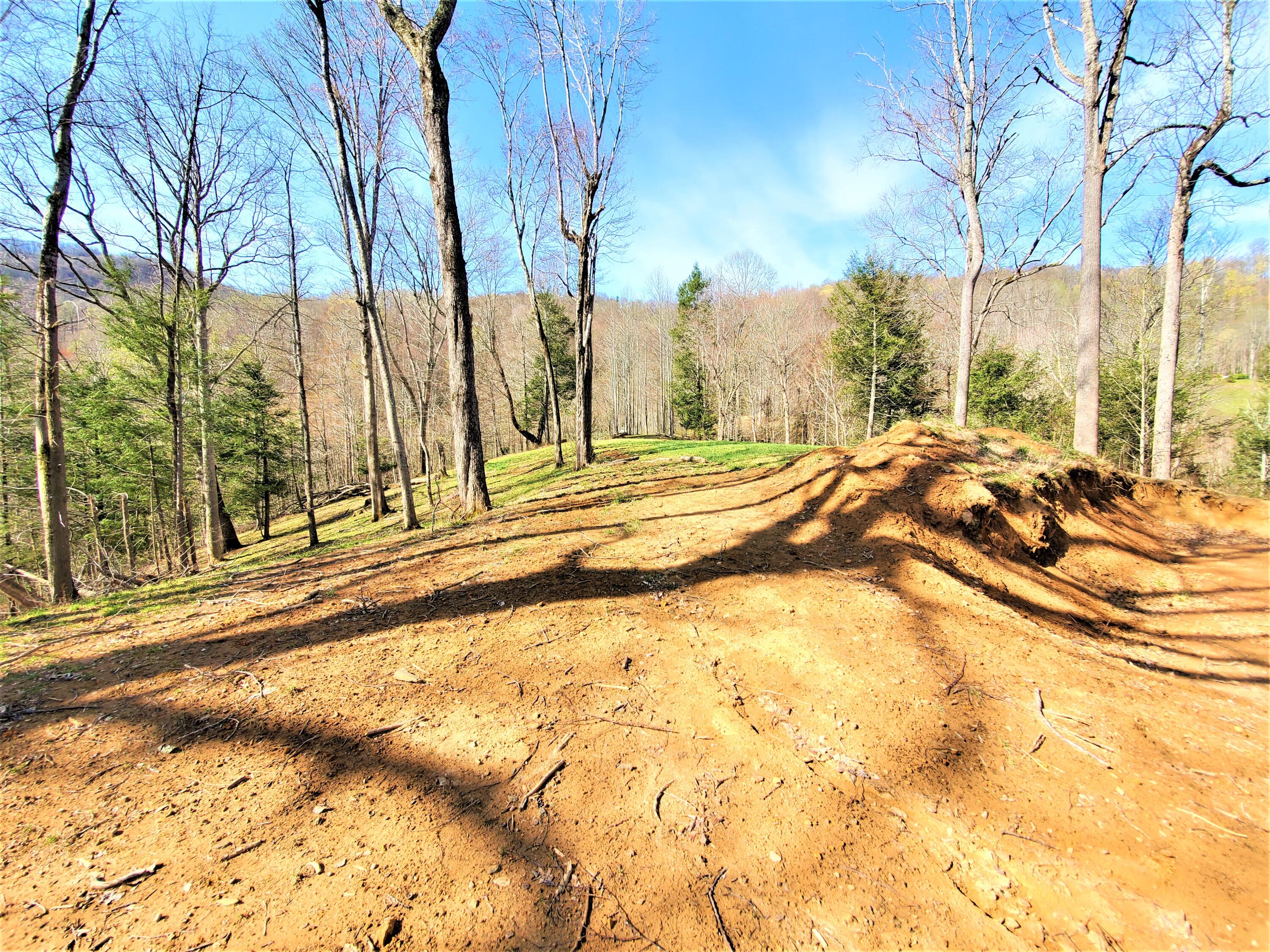 414 Eagle Ridge Road, Unit 23 Roan Mountain, TN 37687 - Photo 13 of 31 20210413_102222