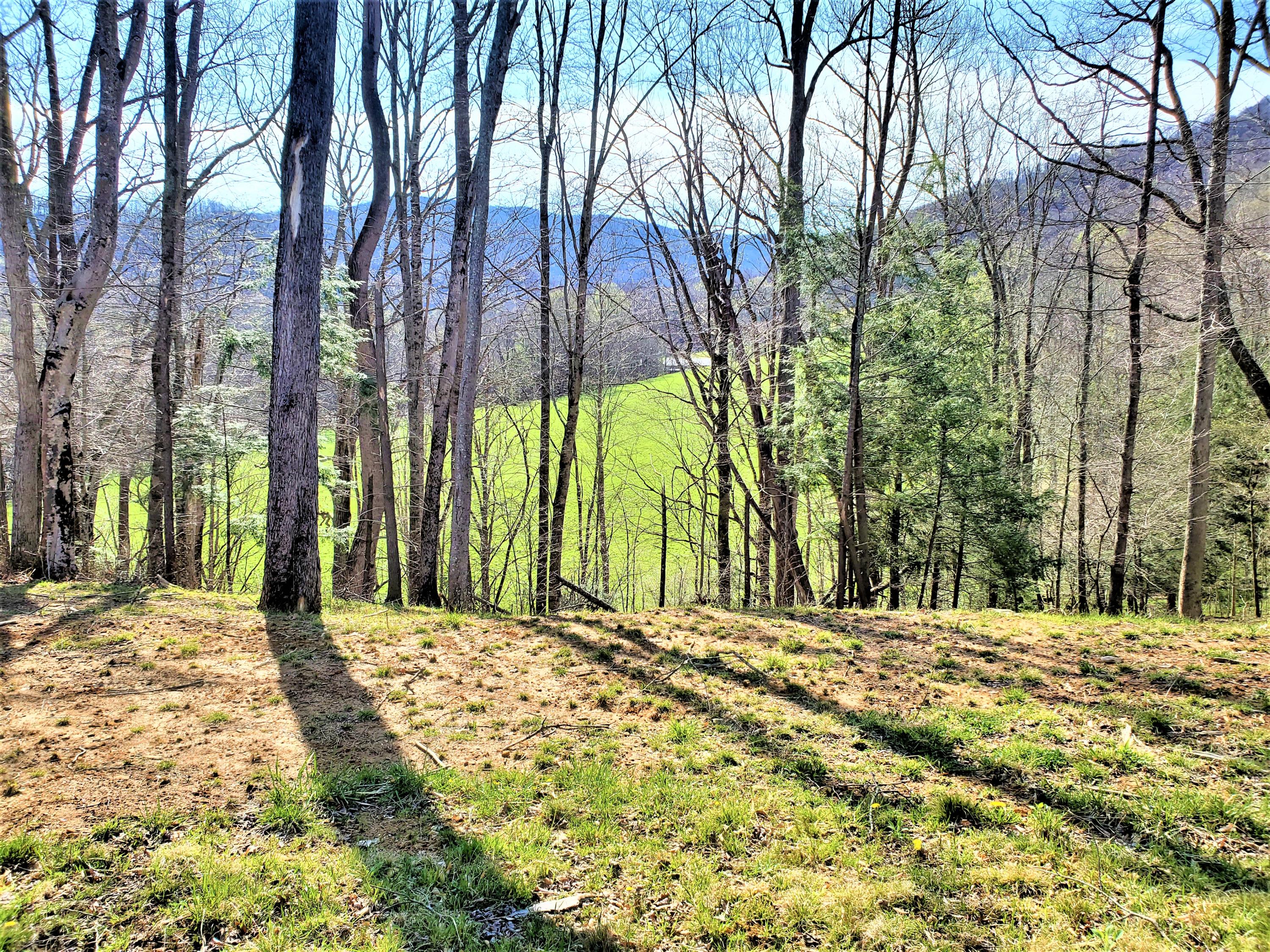 414 Eagle Ridge Road, Unit 23 Roan Mountain, TN 37687 - Photo 14 of 31 20210413_102249