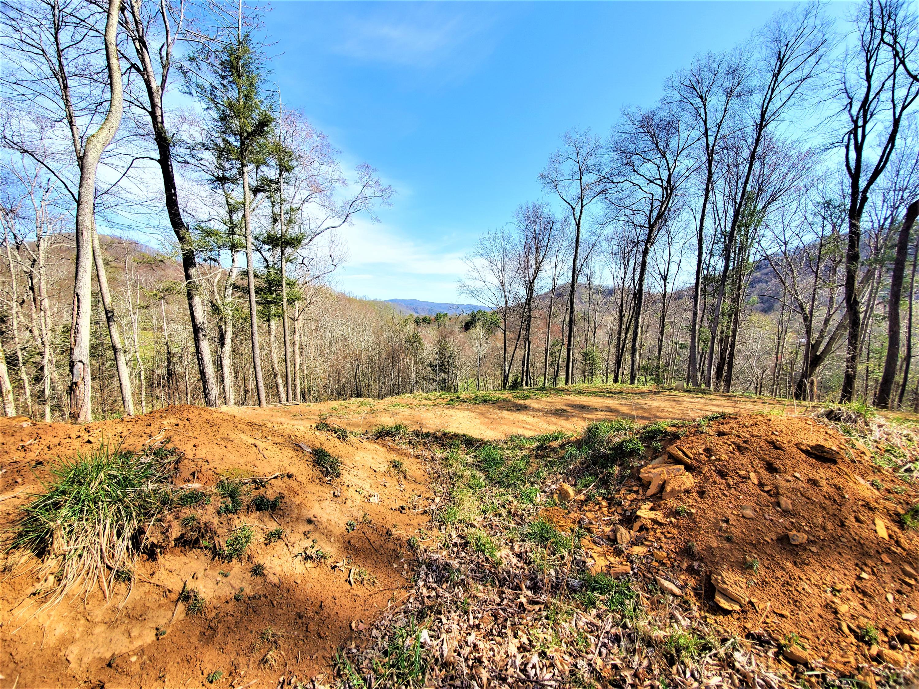 414 Eagle Ridge Road, Unit 23 Roan Mountain, TN 37687 - Photo 15 of 31 20210413_102259