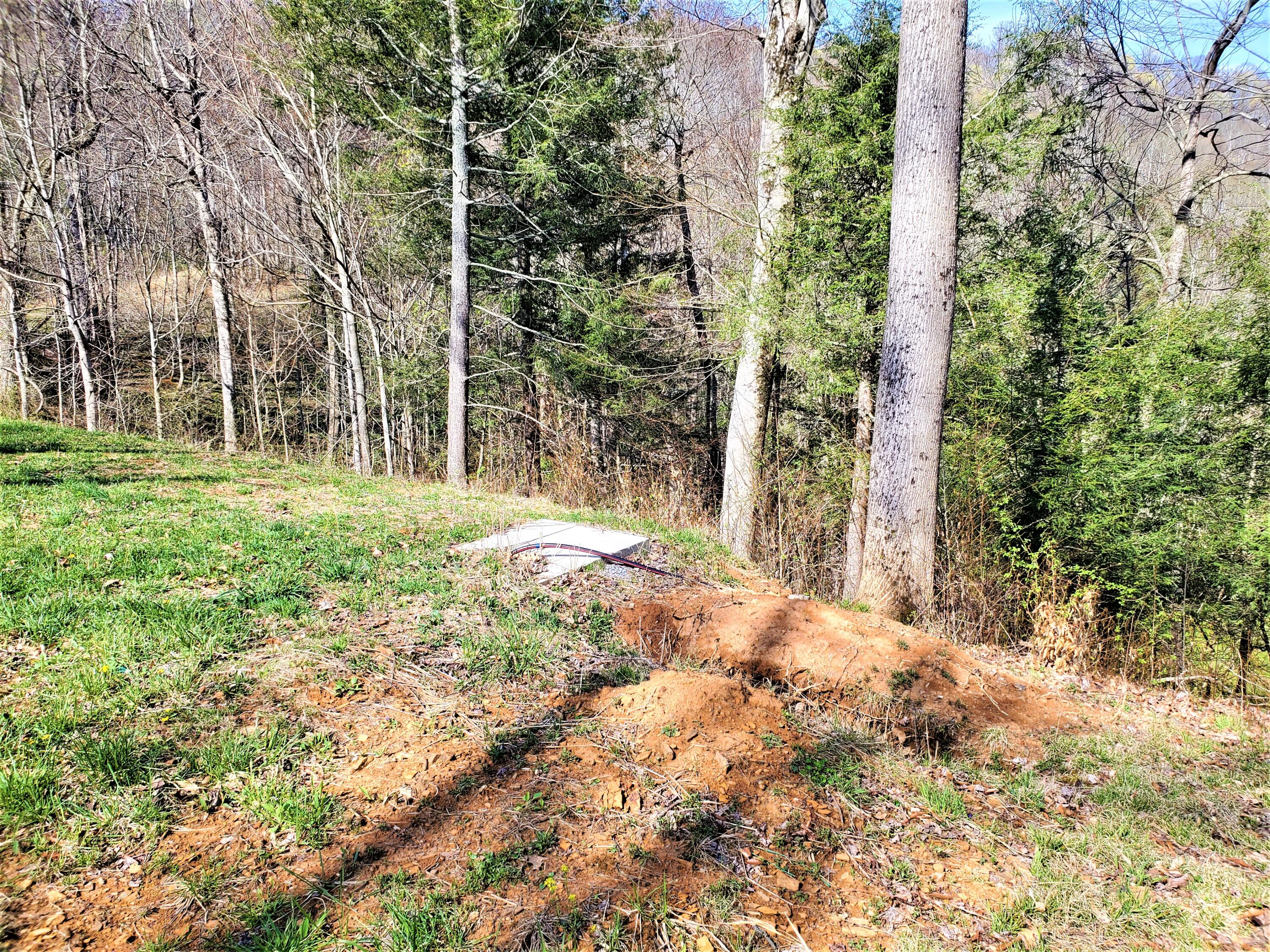 414 Eagle Ridge Road, Unit 23 Roan Mountain, TN 37687 - Photo 16 of 31 20210413_102310