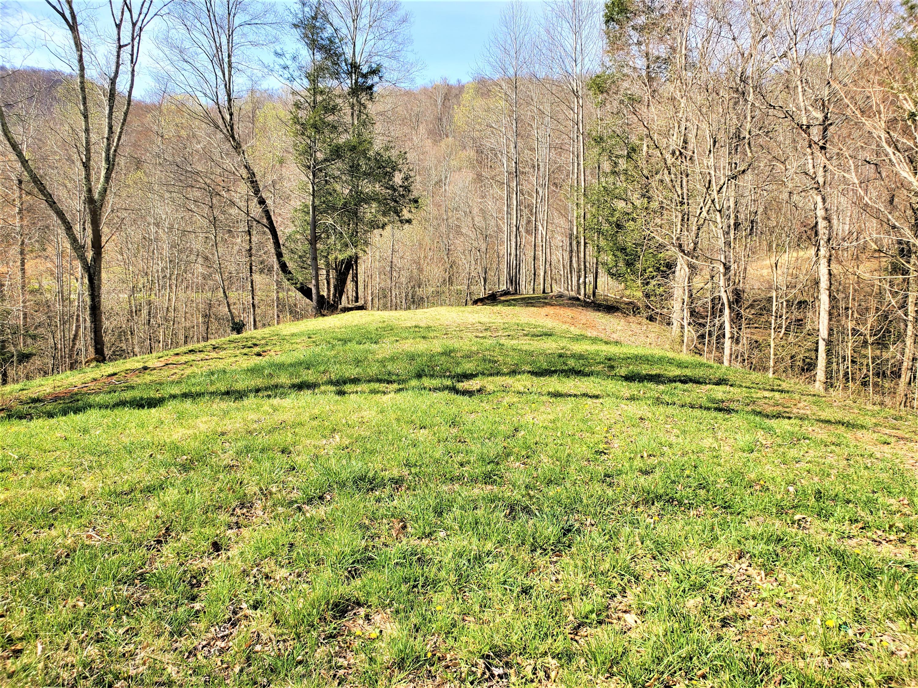 414 Eagle Ridge Road, Unit 23 Roan Mountain, TN 37687 - Photo 17 of 31 20210413_102315