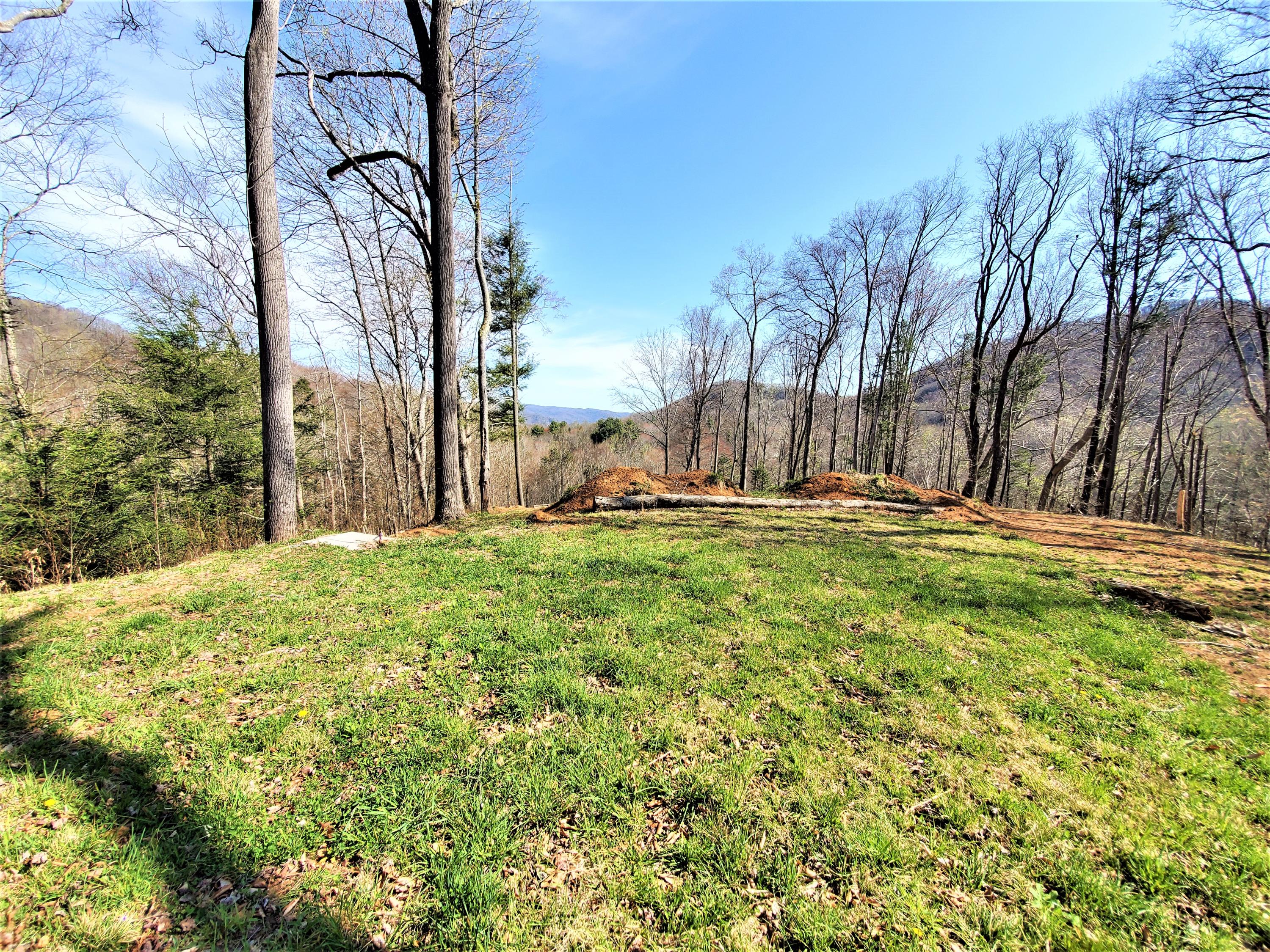414 Eagle Ridge Road, Unit 23 Roan Mountain, TN 37687 - Photo 18 of 31 20210413_102352