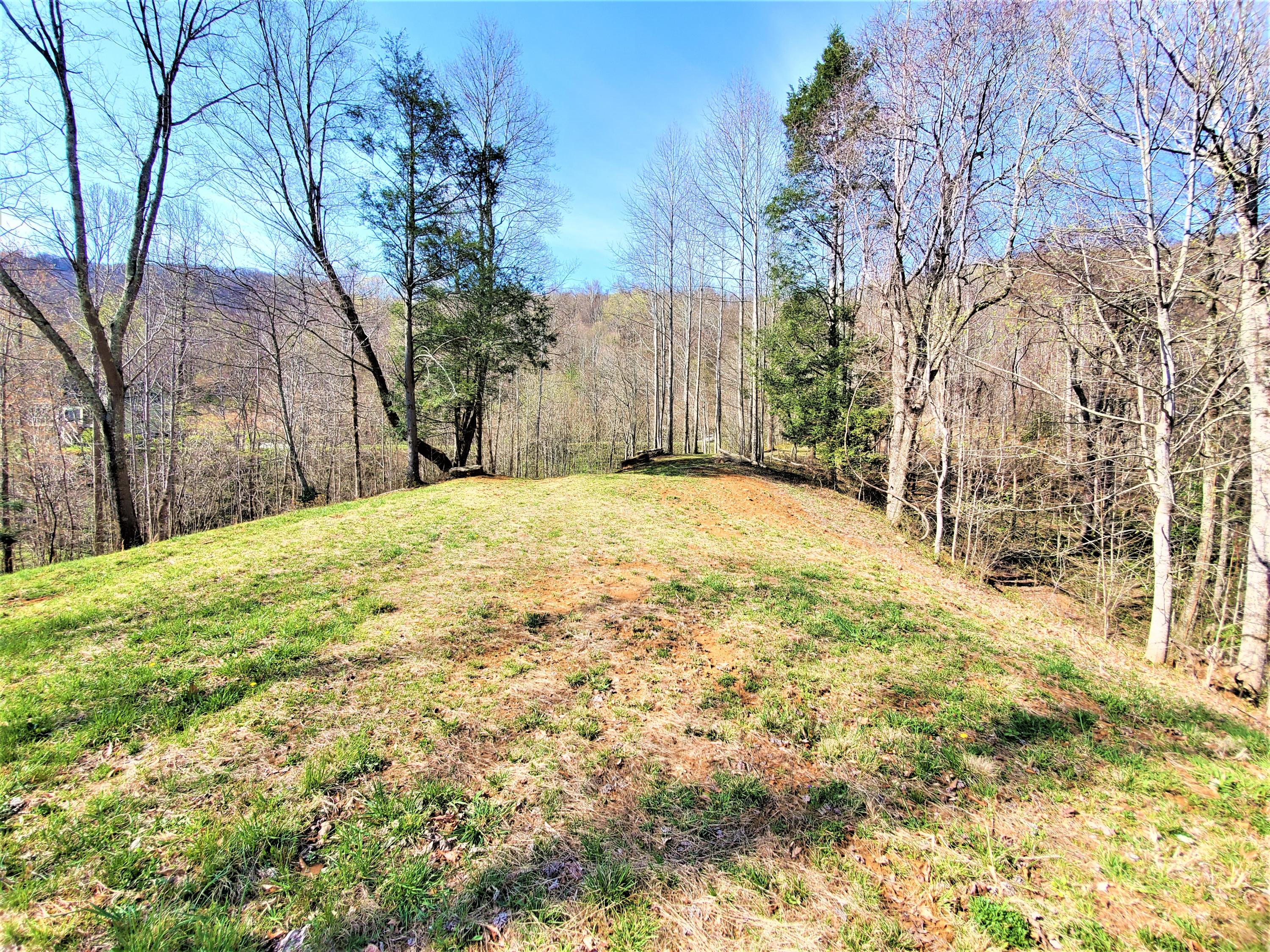 414 Eagle Ridge Road, Unit 23 Roan Mountain, TN 37687 - Photo 19 of 31 20210413_102405