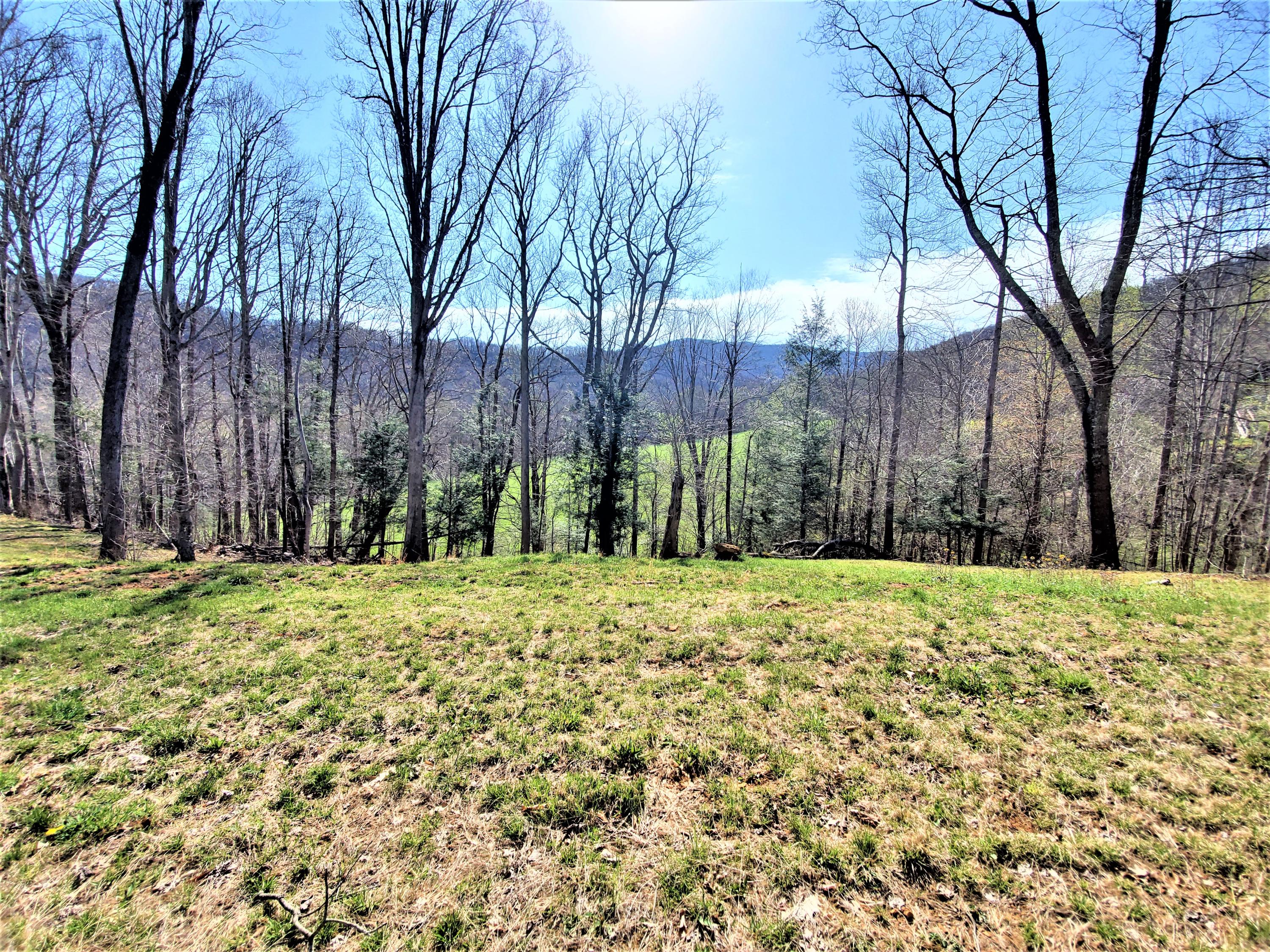 414 Eagle Ridge Road, Unit 23 Roan Mountain, TN 37687 - Photo 20 of 31 20210413_102418