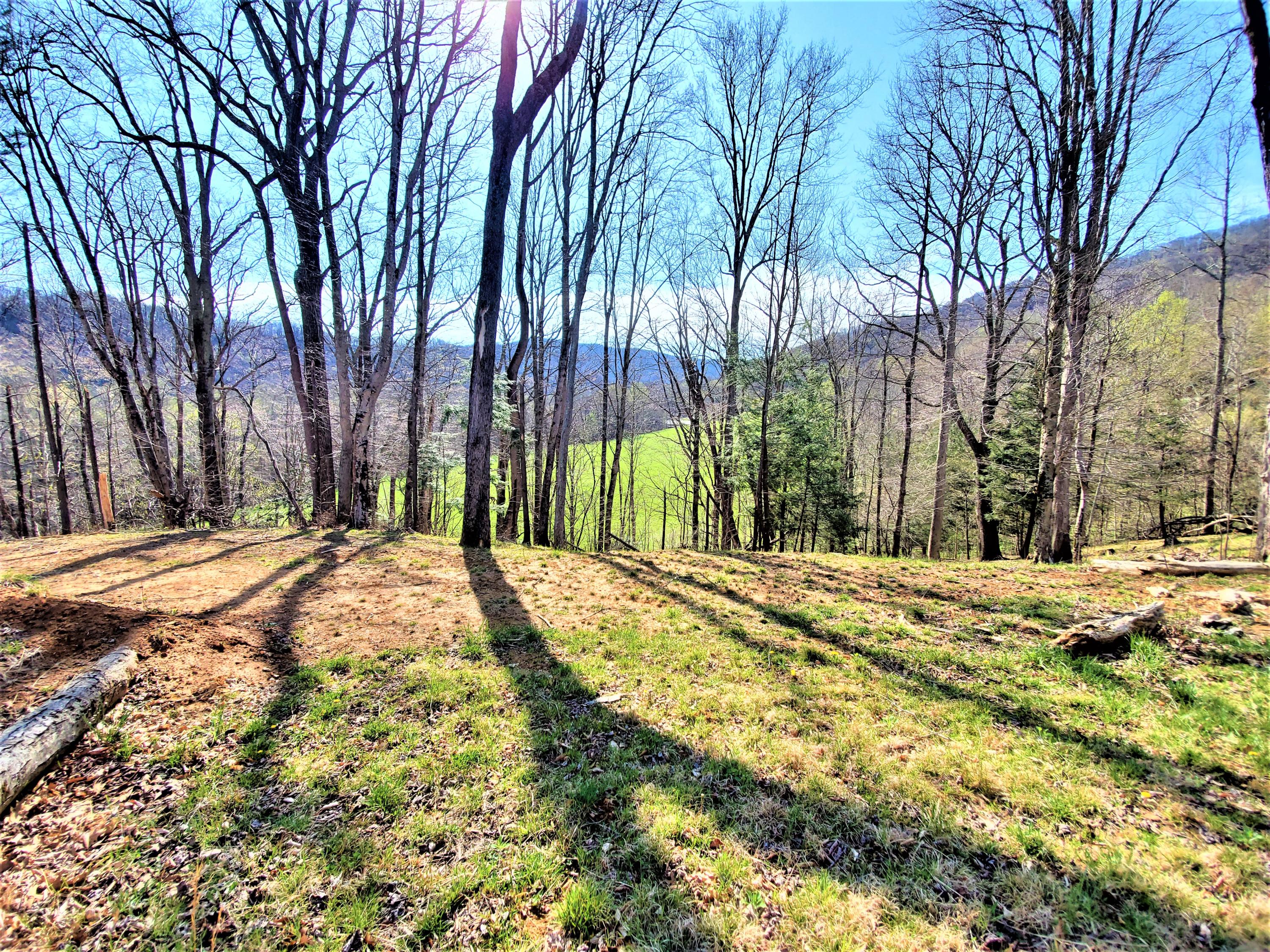 414 Eagle Ridge Road, Unit 23 Roan Mountain, TN 37687 - Photo 2 of 31 20210413_102253