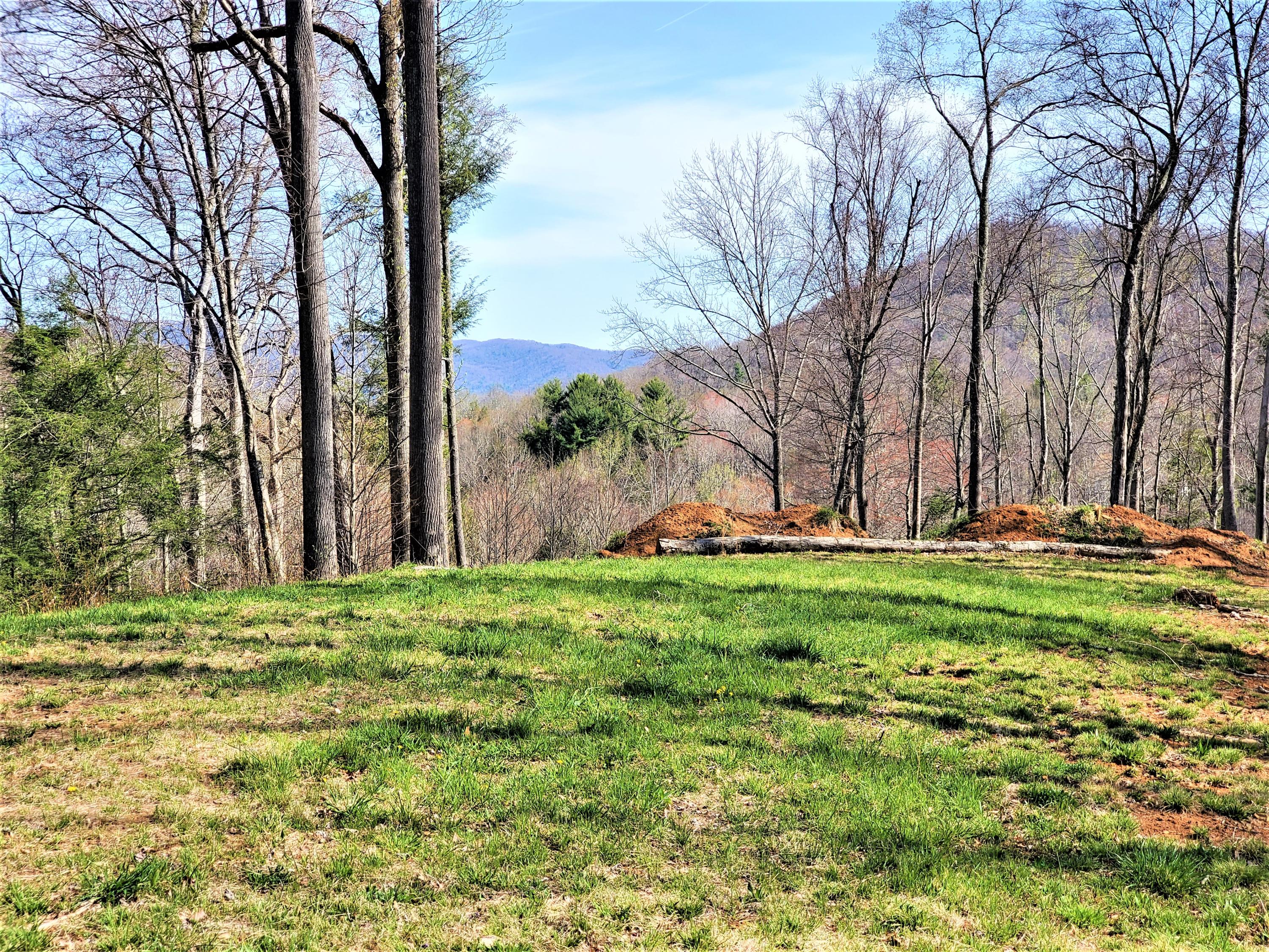 414 Eagle Ridge Road, Unit 23 Roan Mountain, TN 37687 - Photo 21 of 31 20210413_102435