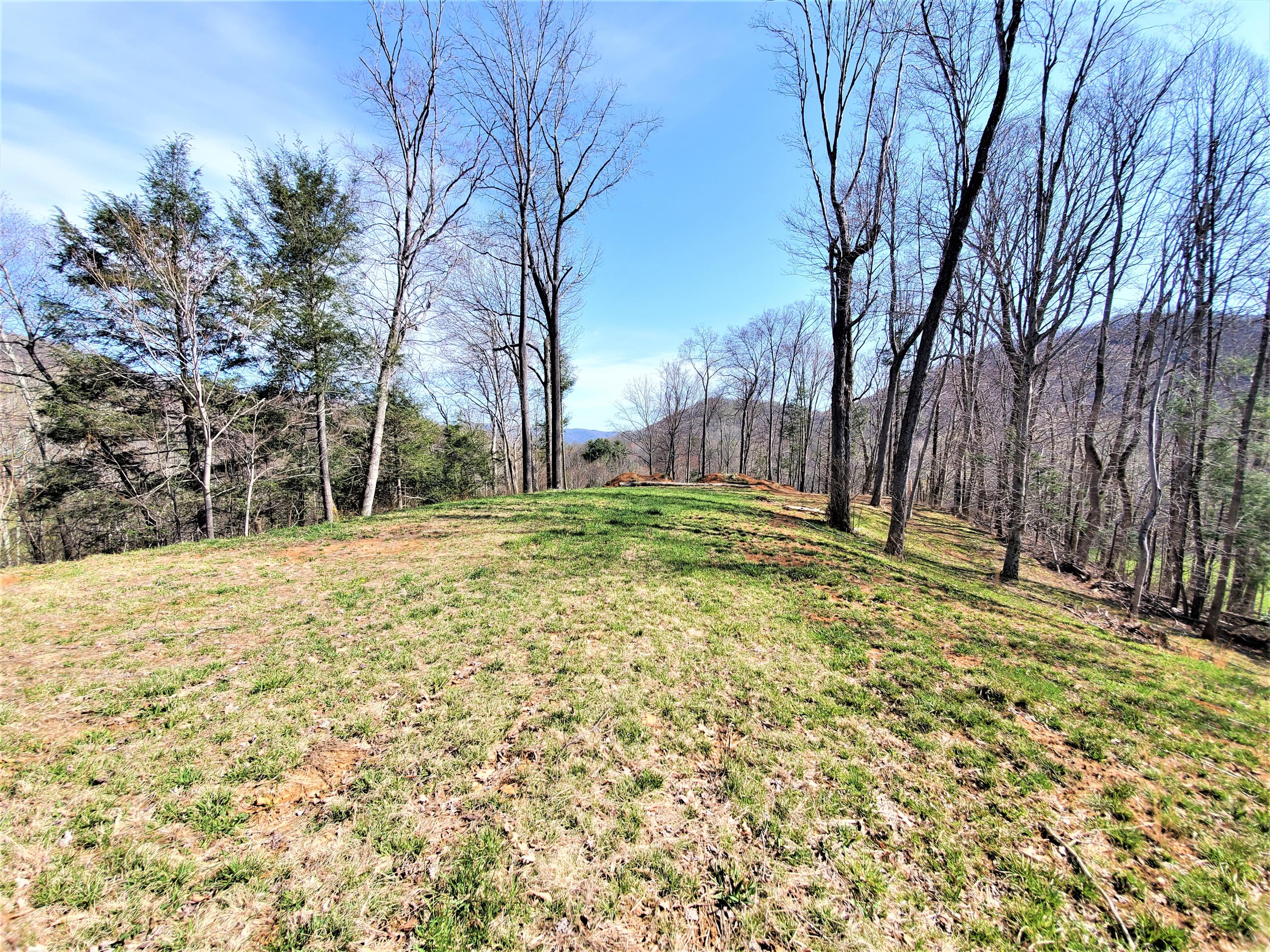 414 Eagle Ridge Road, Unit 23 Roan Mountain, TN 37687 - Photo 22 of 31 20210413_102439