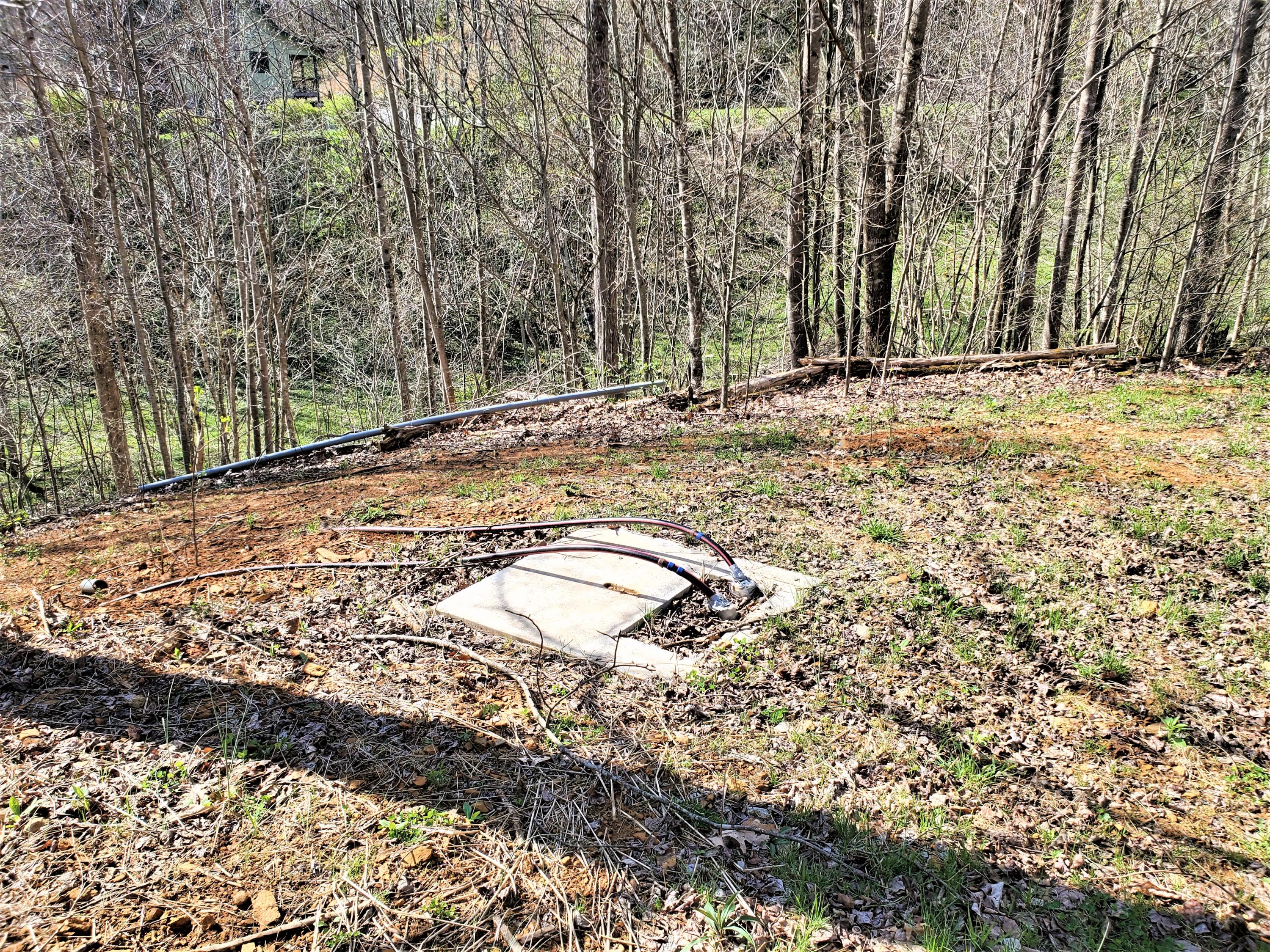 414 Eagle Ridge Road, Unit 23 Roan Mountain, TN 37687 - Photo 24 of 31 20210413_102511
