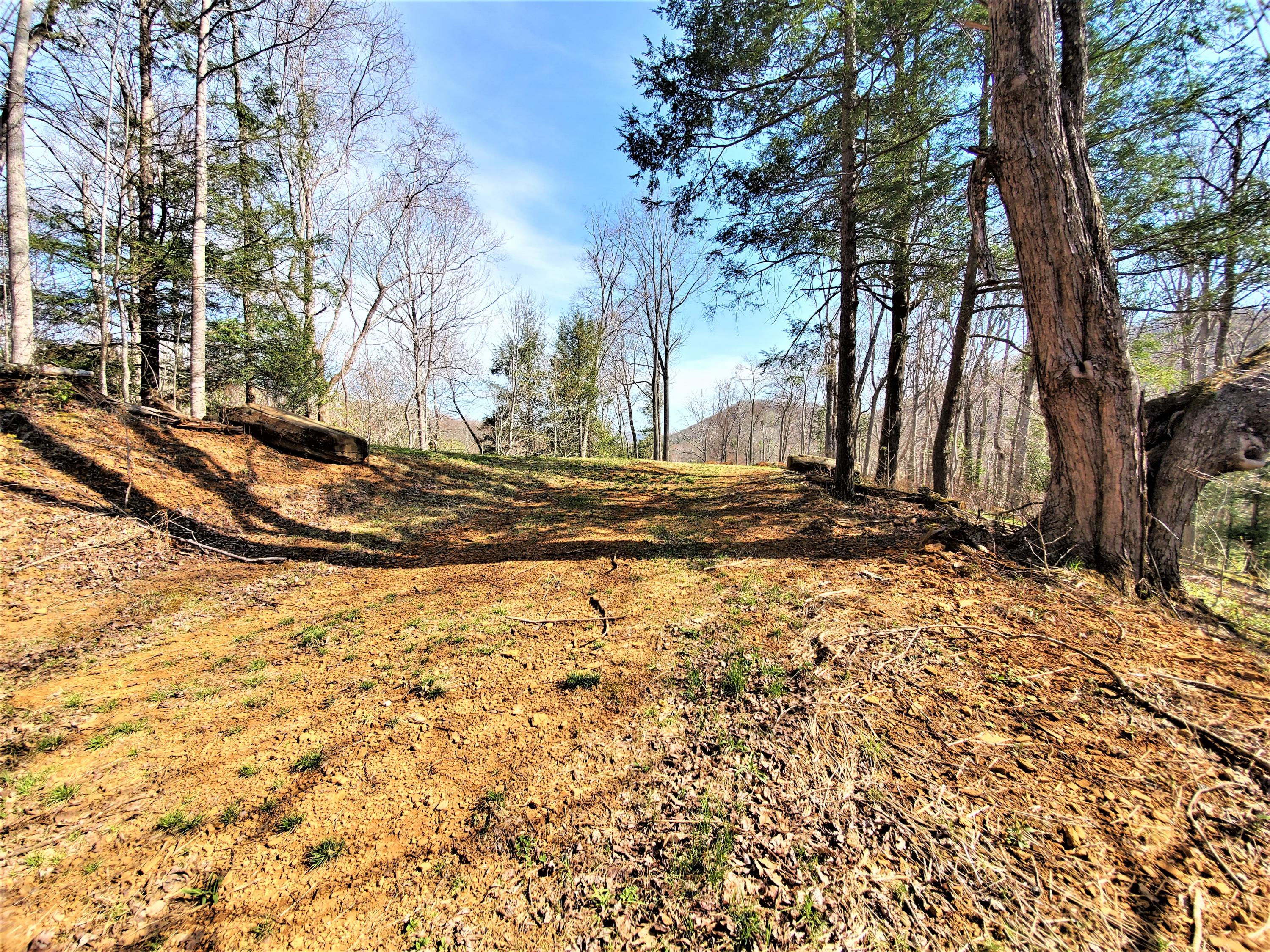 414 Eagle Ridge Road, Unit 23 Roan Mountain, TN 37687 - Photo 25 of 31 20210413_102526