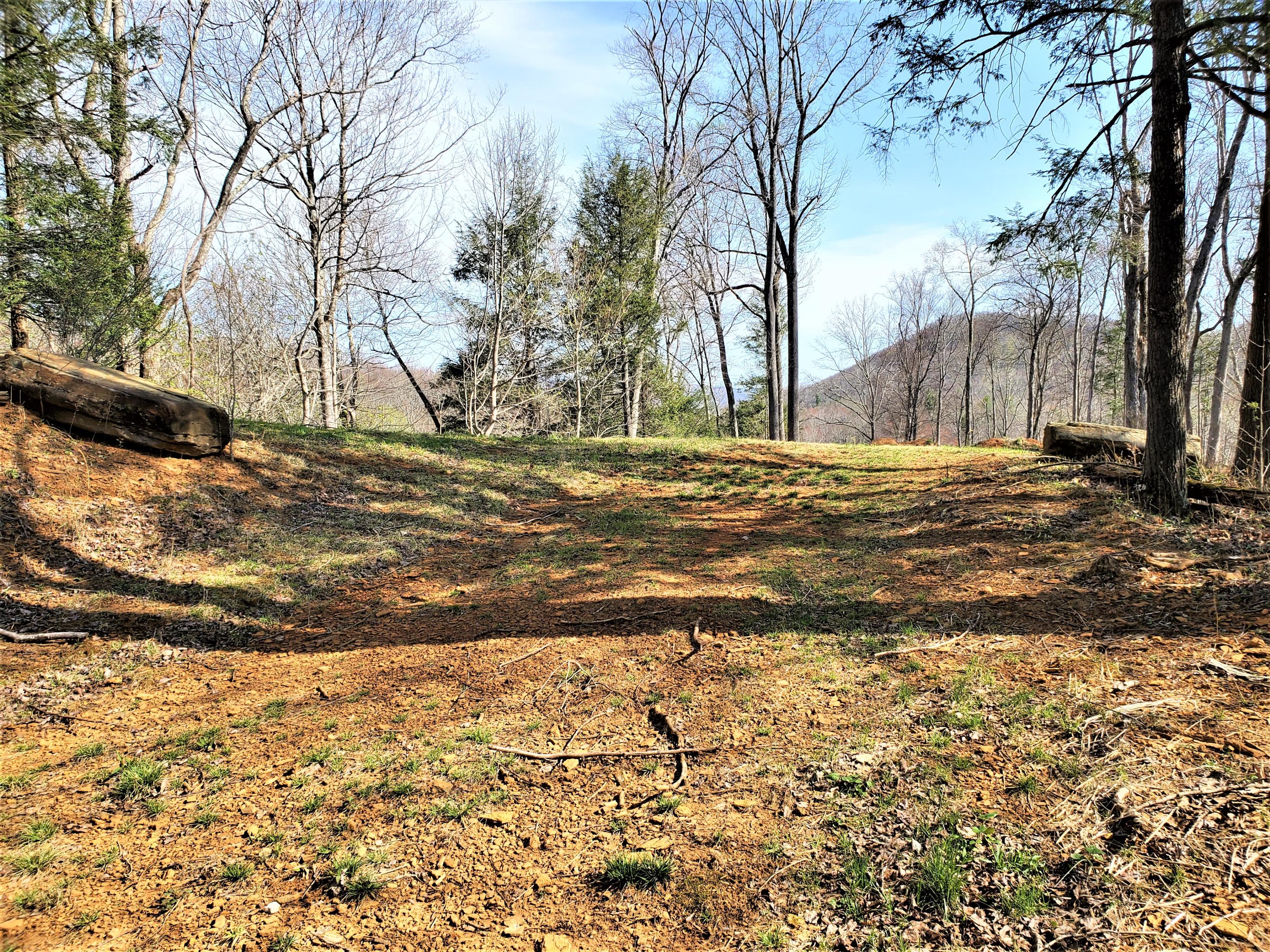 414 Eagle Ridge Road, Unit 23 Roan Mountain, TN 37687 - Photo 26 of 31 20210413_102532