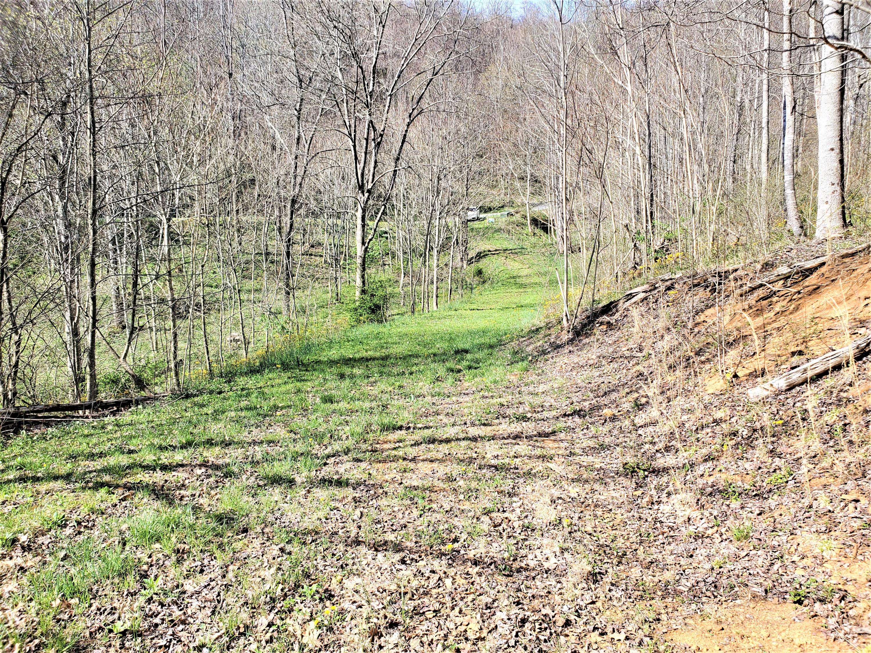 414 Eagle Ridge Road, Unit 23 Roan Mountain, TN 37687 - Photo 27 of 31 20210413_102543