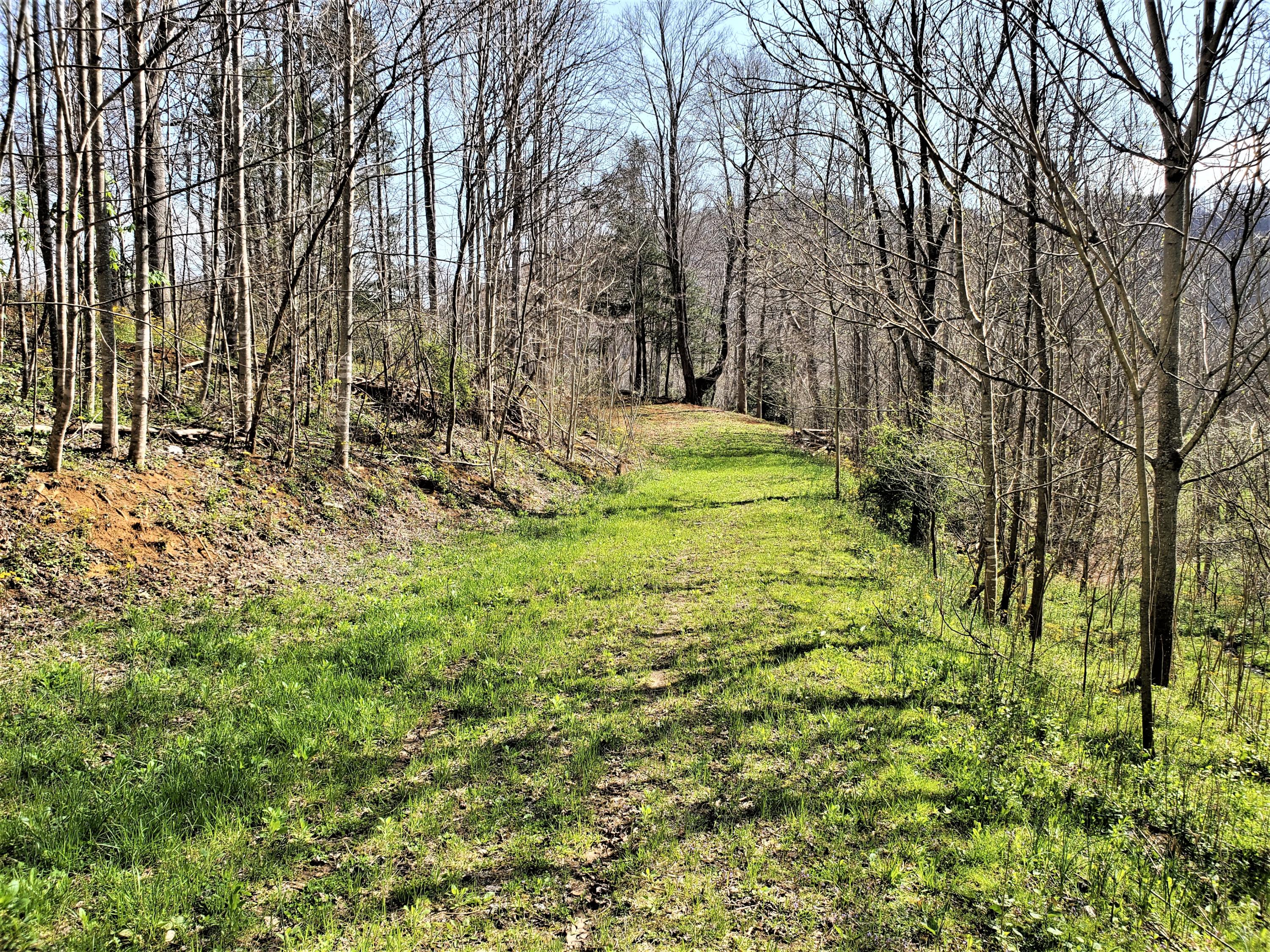 414 Eagle Ridge Road, Unit 23 Roan Mountain, TN 37687 - Photo 28 of 31 20210413_102640